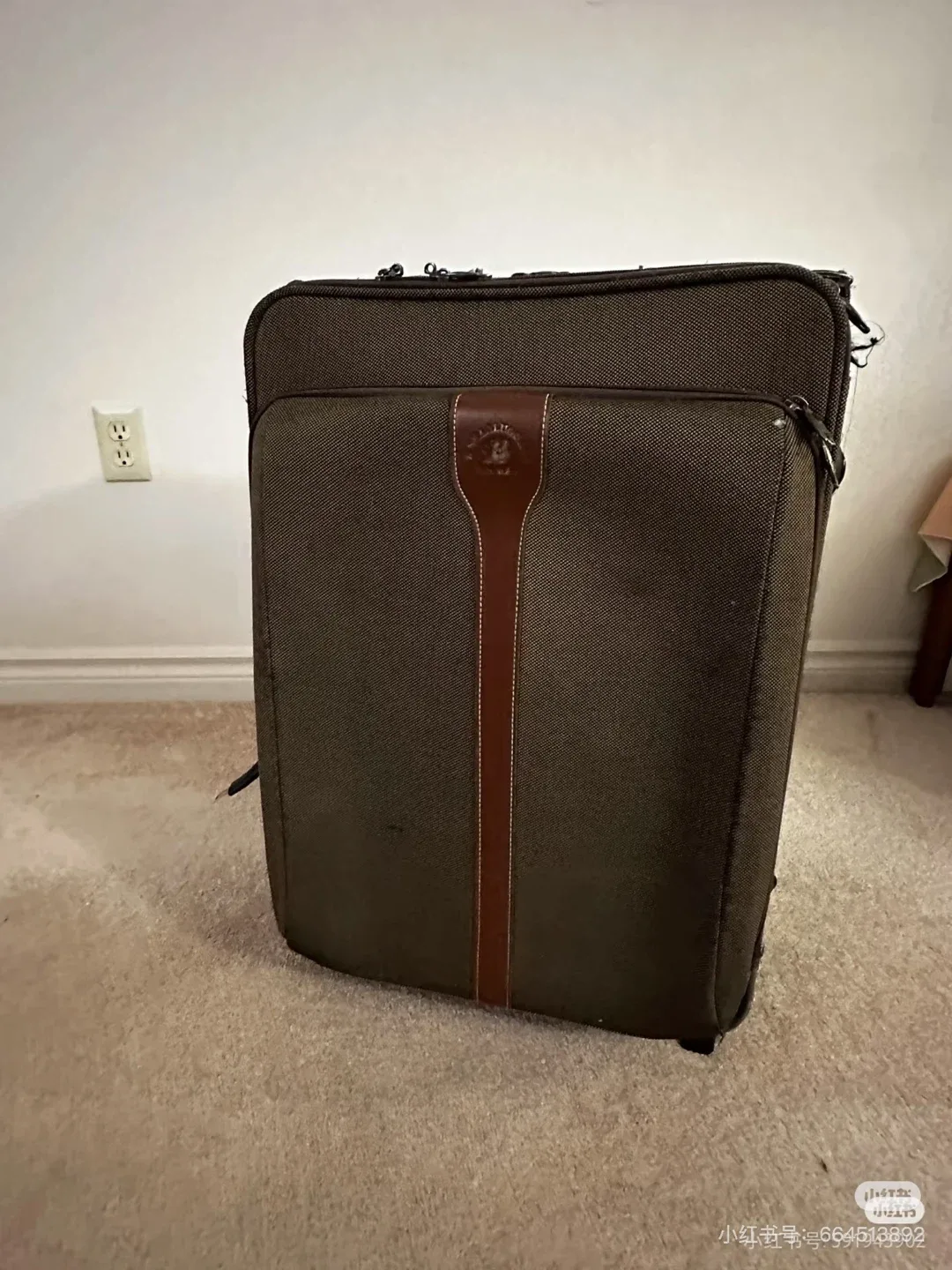 Vintage Binhao Suitcase