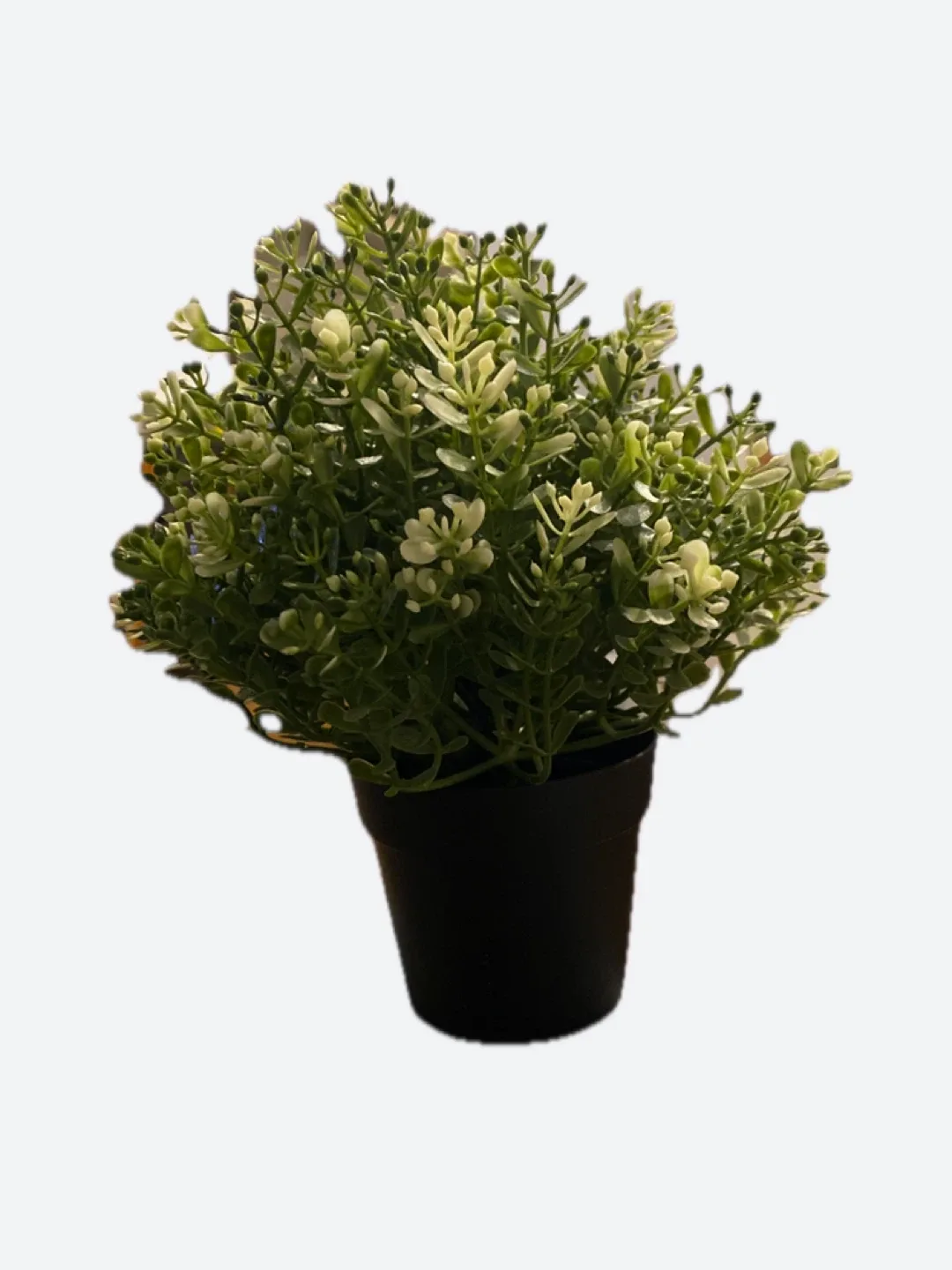 Artificial Potted Plant - Home Decor