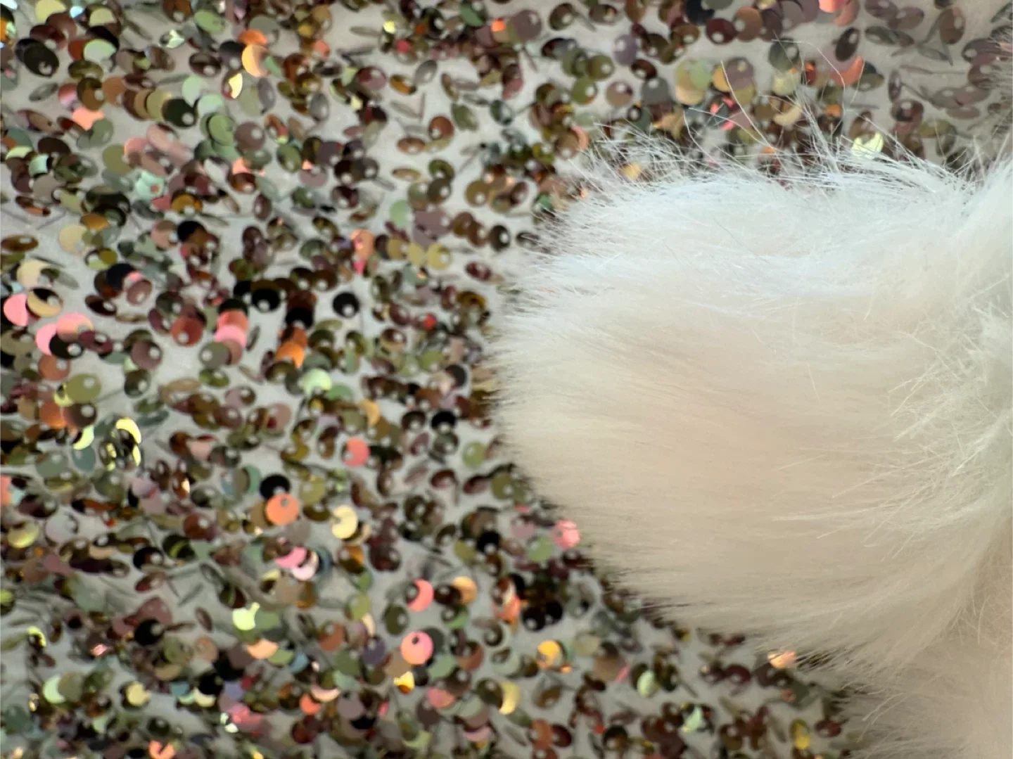 🆕 Christmas Stockings image indicator(5)