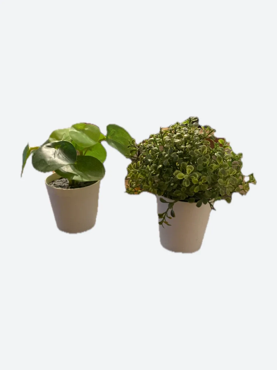 Artificial Potted Plants - Set of 2