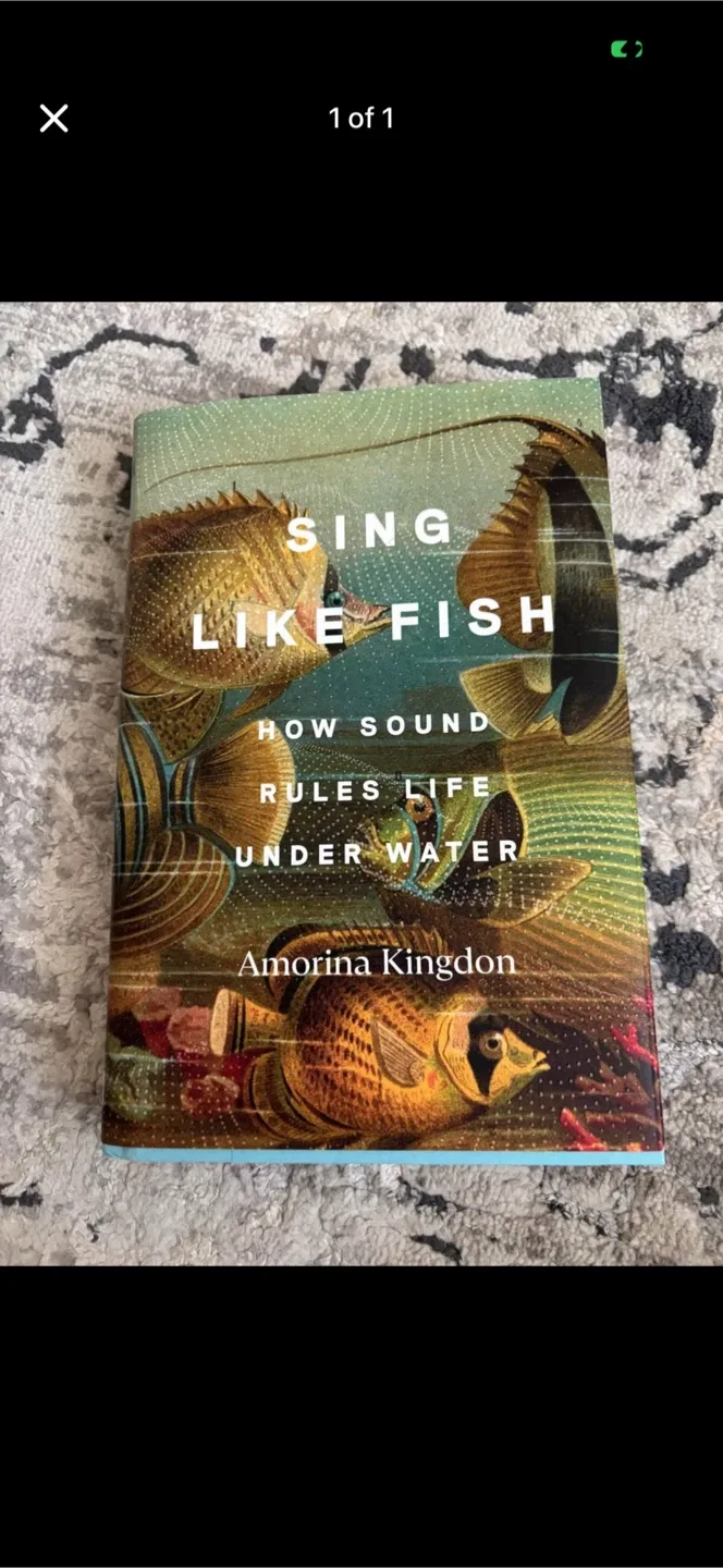 Sing Like Fish by Amorina Kingdon