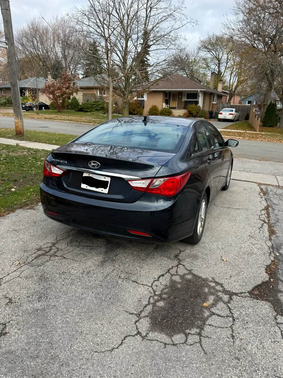 Hyundai Sonata 2013 - Blue image indicator(7)