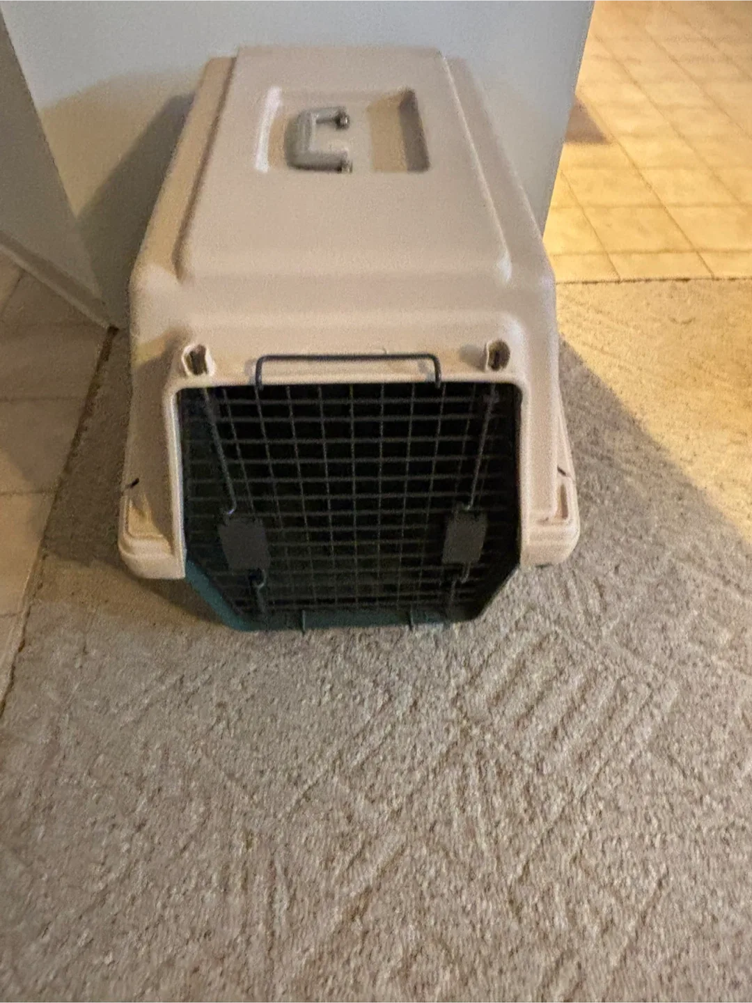 Medium 250 Pet Carrier