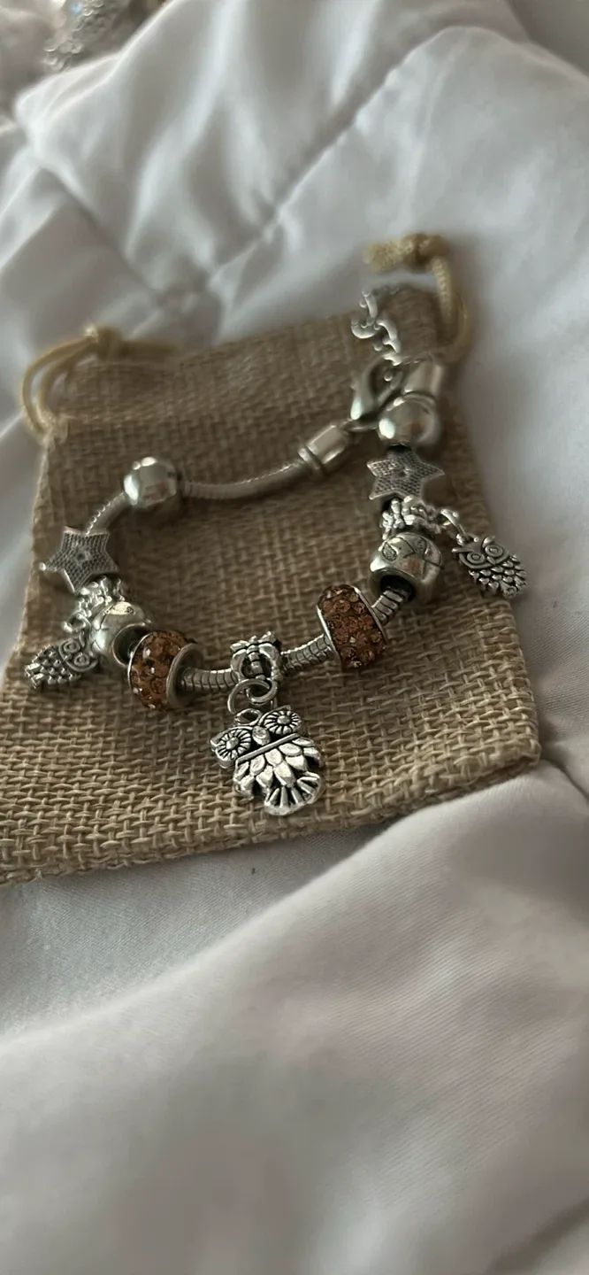 Charm Bracelet image indicator(2)