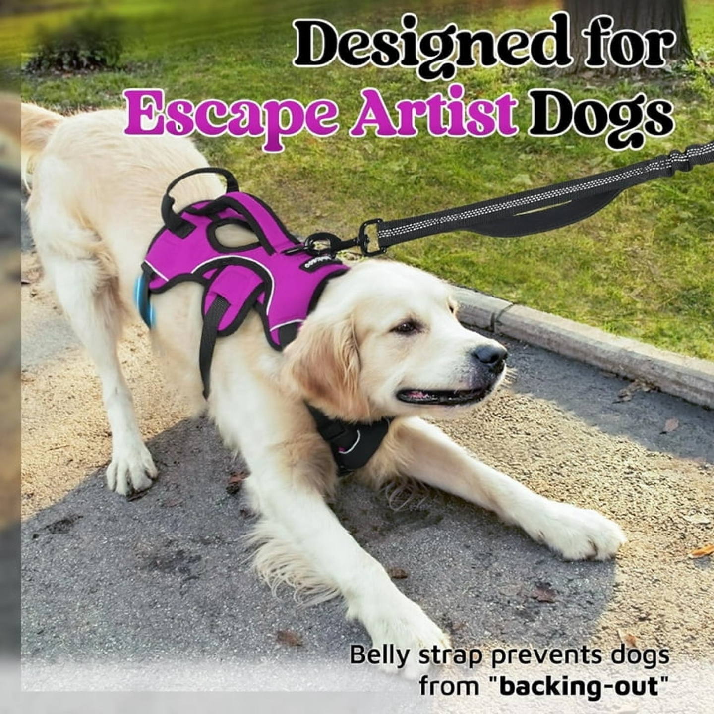 rabbitgoo Dog Harness - Purple, Size M - photo 4