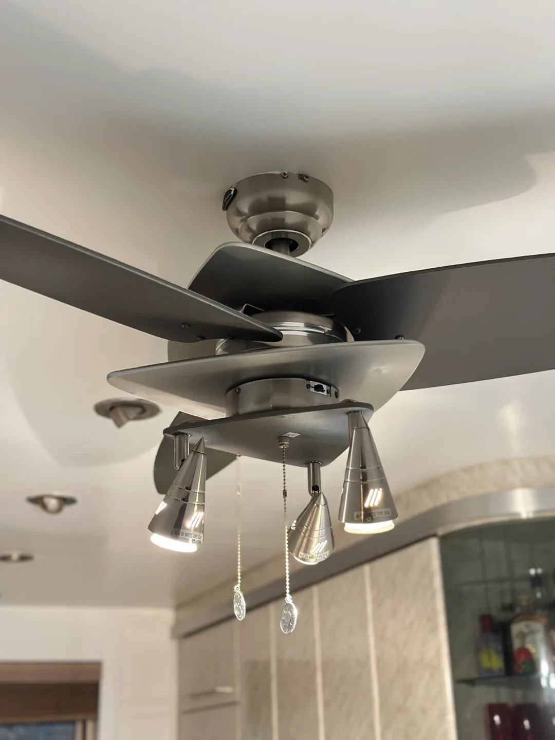 Modern Ceiling Fan with Lights