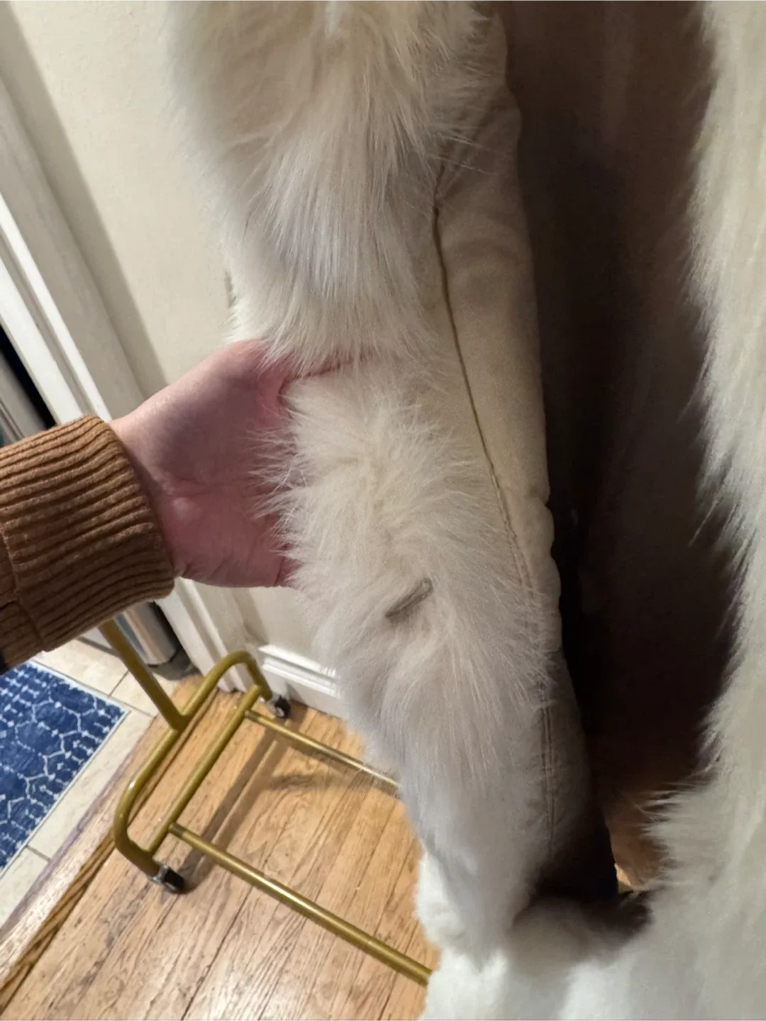 Talk of the Walk Atlantic City Fur Trimmed Coat image indicator(3)