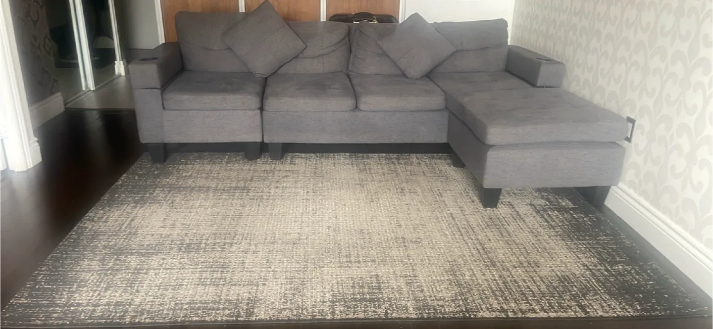 ✅ MOVING SALE—MUST GO By Nov 26th! (Daybed, Sofa, Rug, Dresser