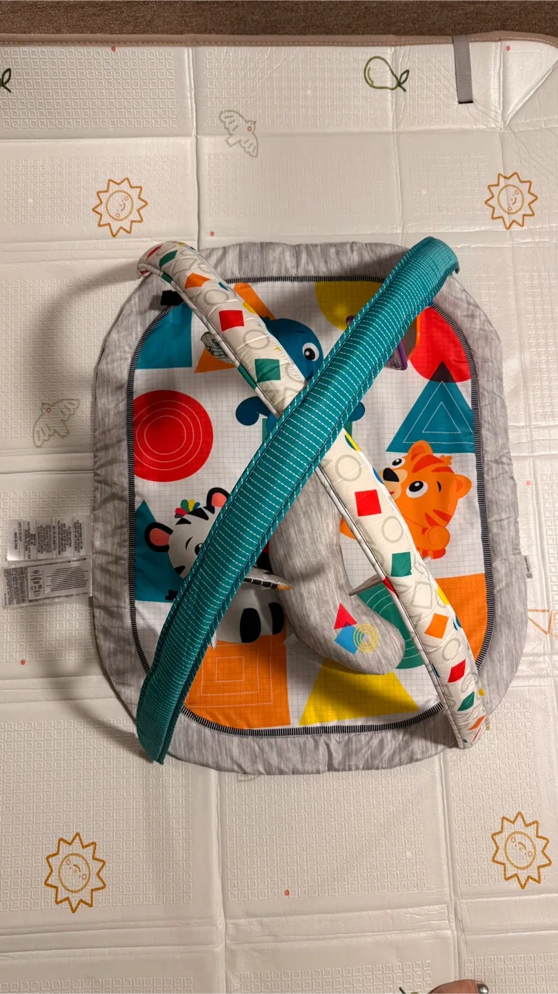 Baby Einstein Activity Gym Play Mat