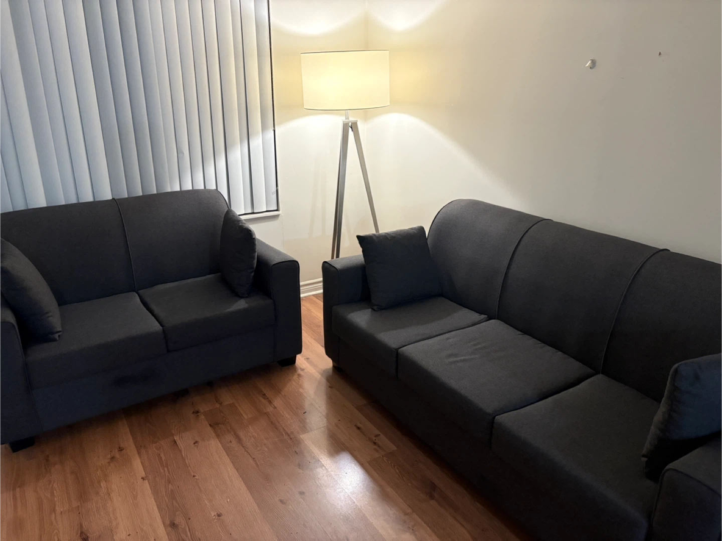 2 piece Sofa set (Sofa and Loveseat) - Like New!