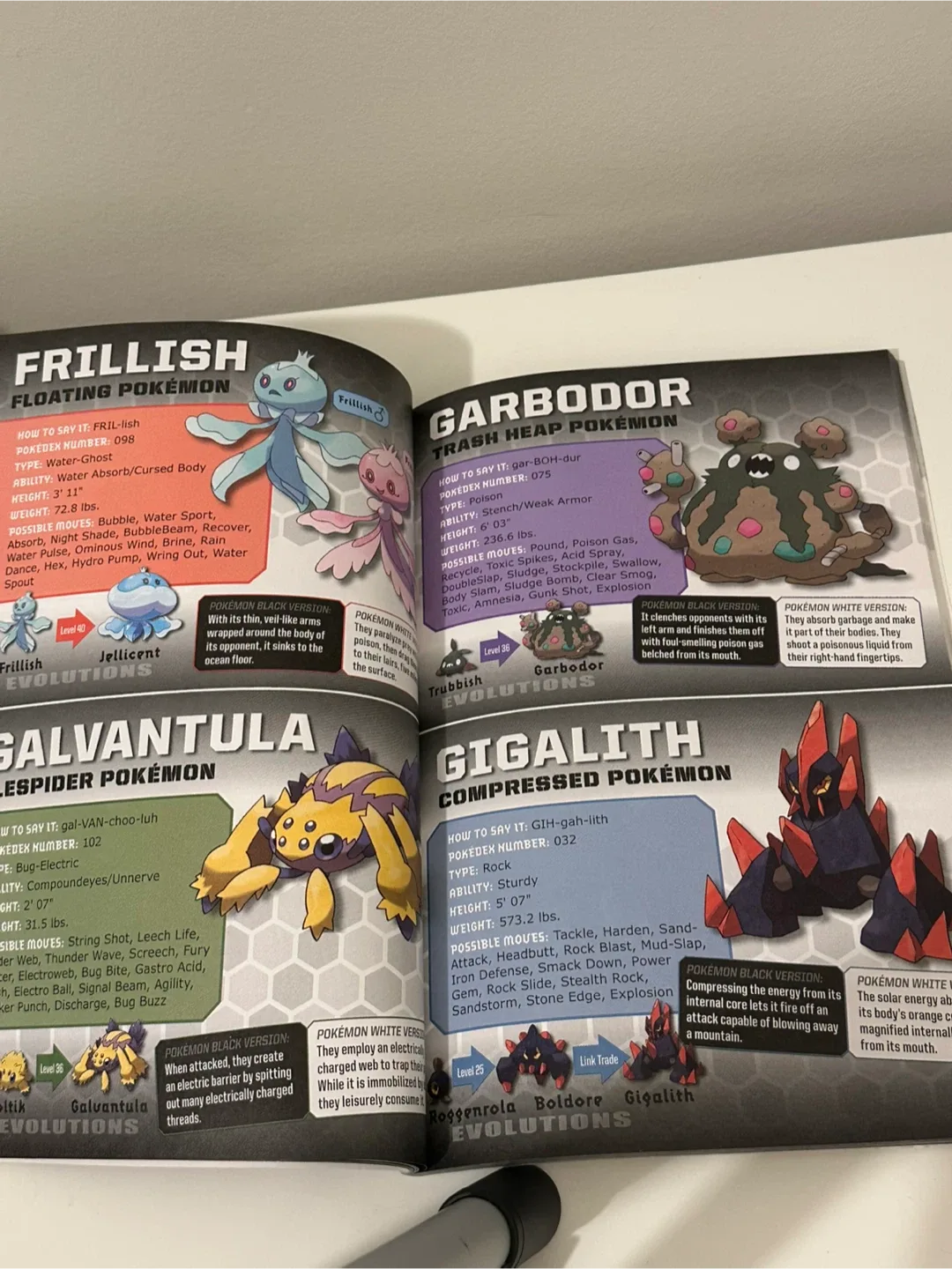 Pokémon Black & White Handbook image indicator(3)
