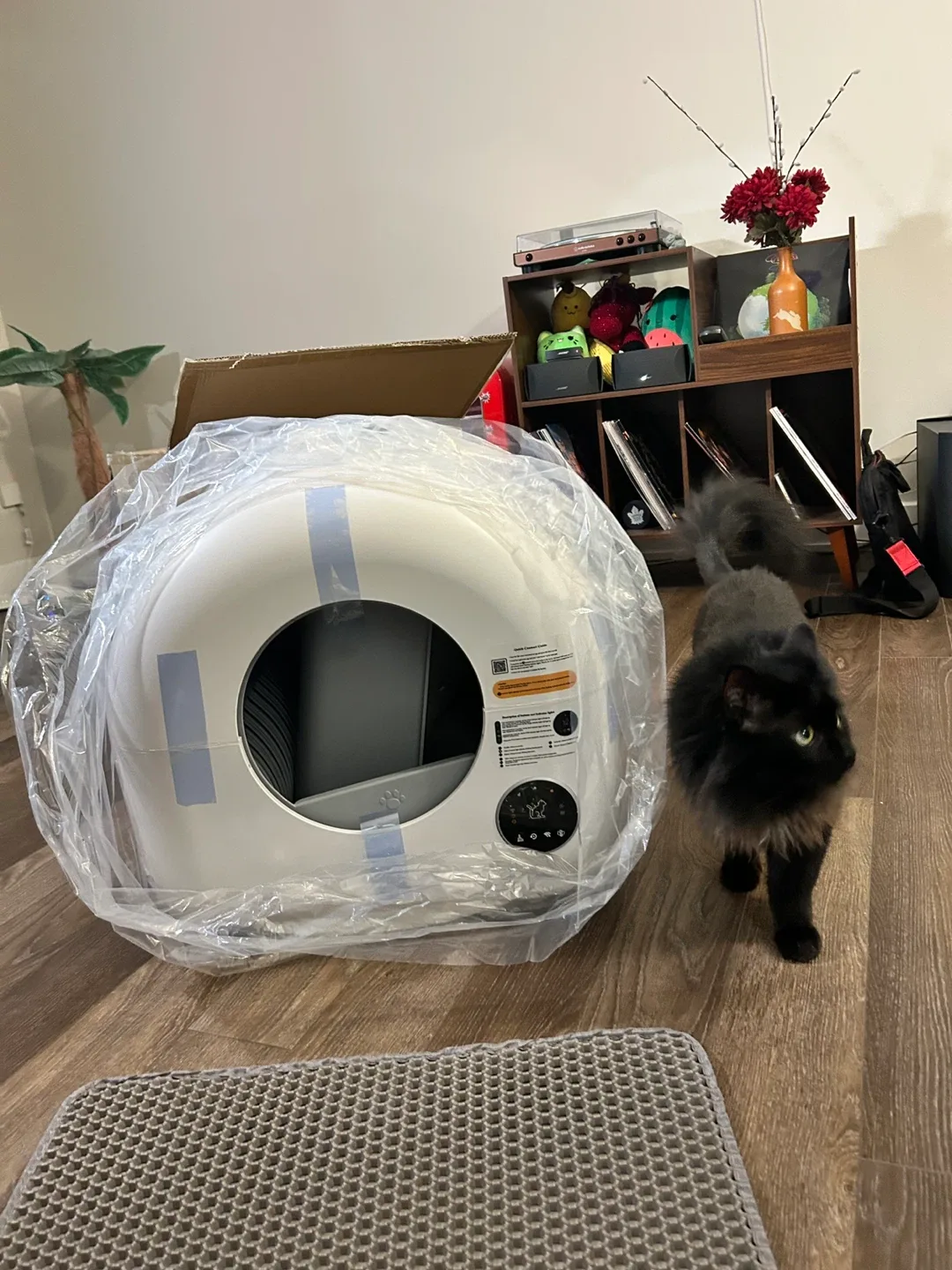 Self-Cleaning Cat Litter Box brand new (open box) image indicator(5)