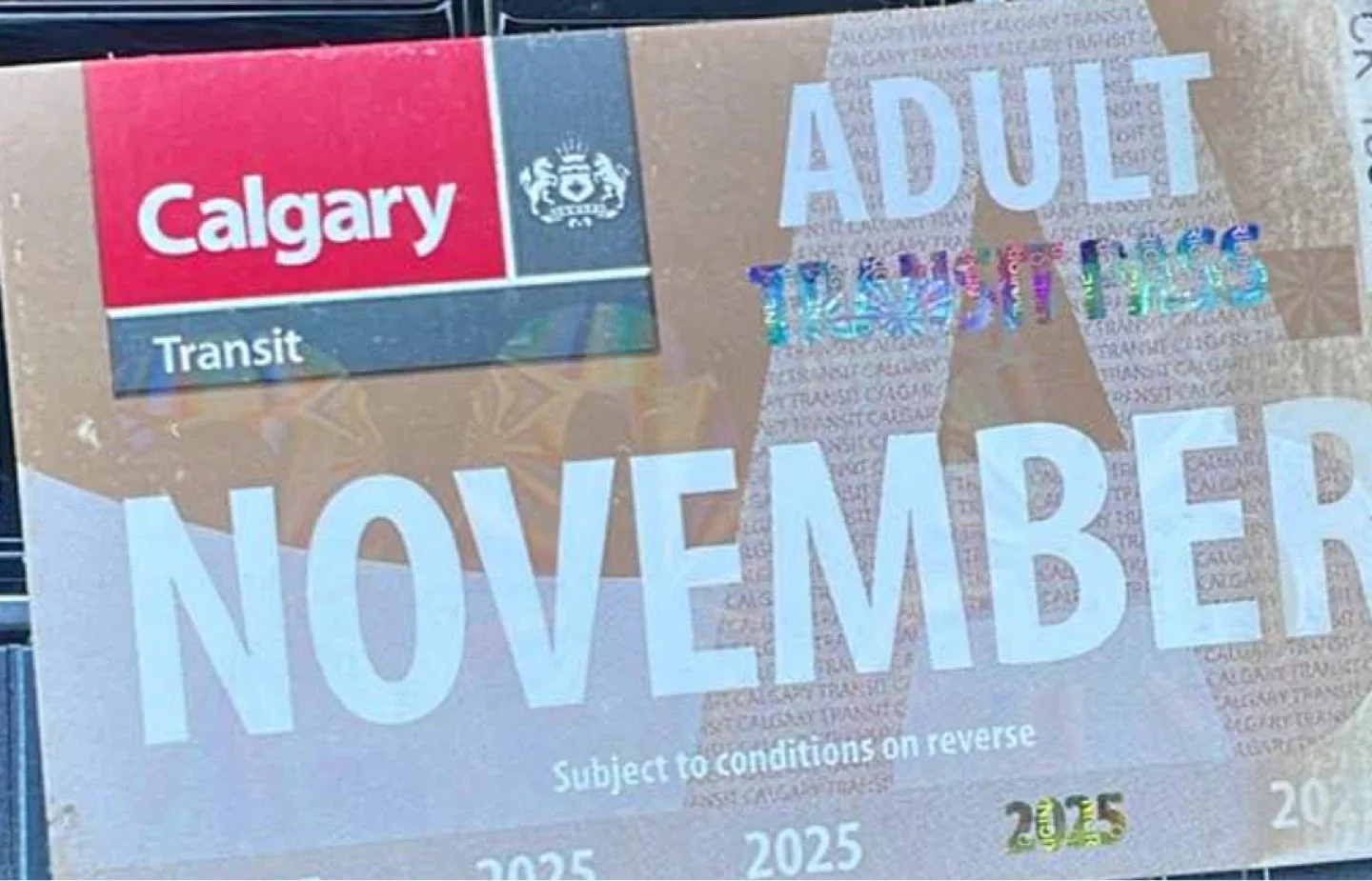 Calgary Transit Adult November Pass - Exp Nov 2025