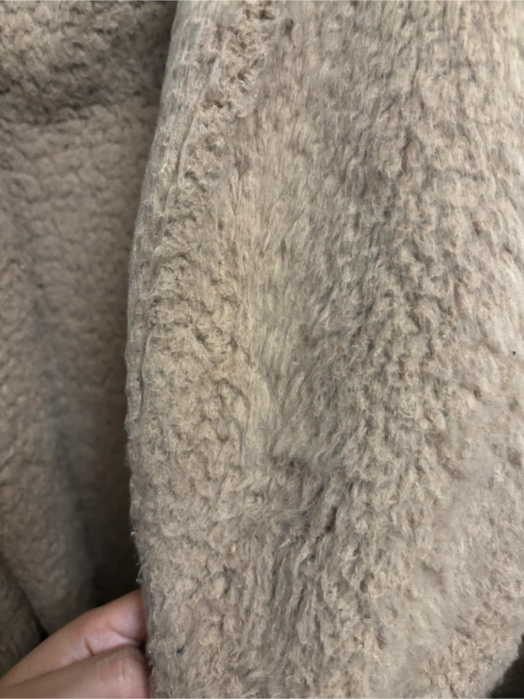 Hollister California Teddy Fleece Hoodie- Size M image indicator(3)