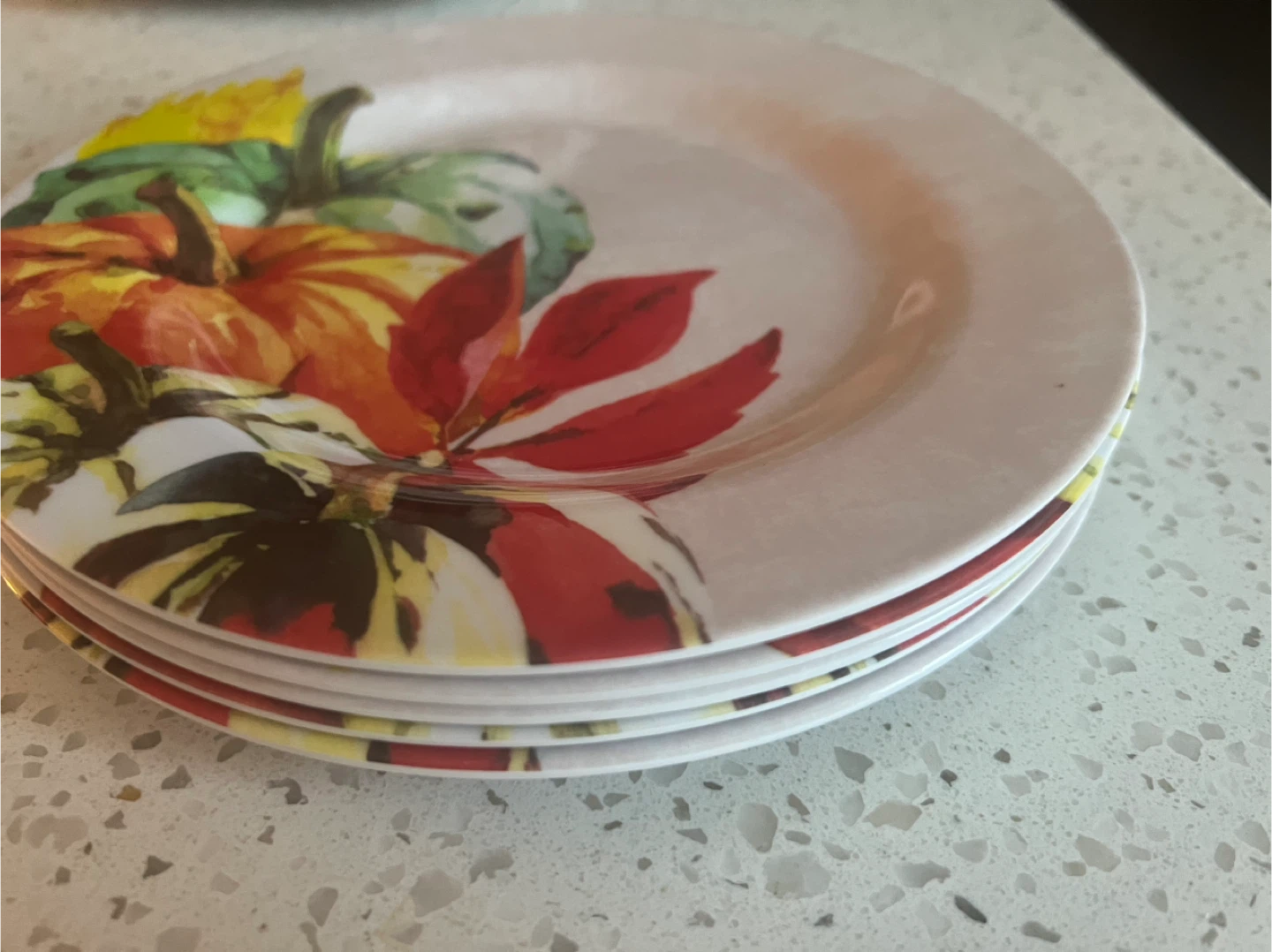 Fall Harvest Melamine Dinnerware Set - photo 4