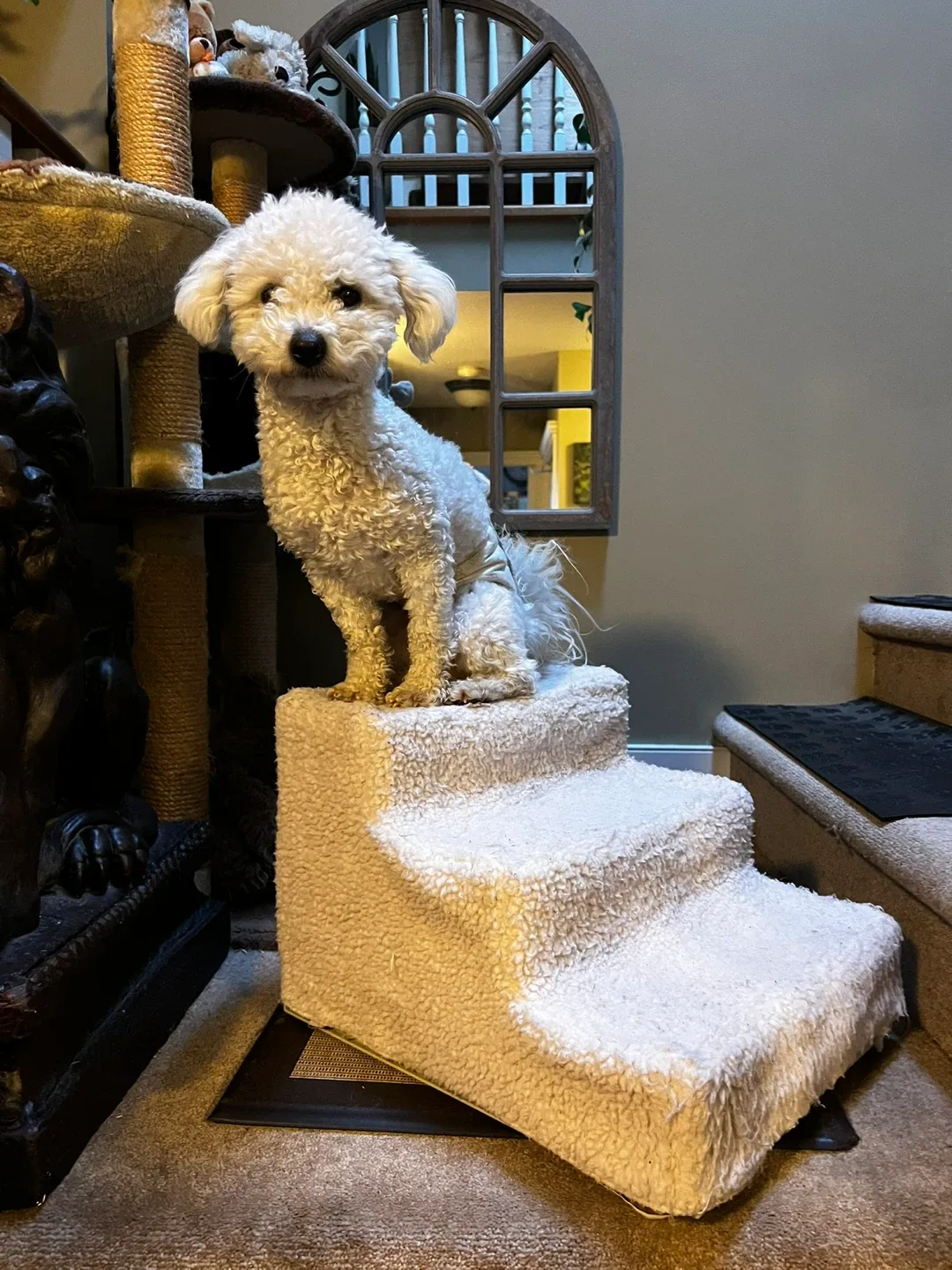 PetSafe CozyUp Folding Pet Steps image indicator(6)