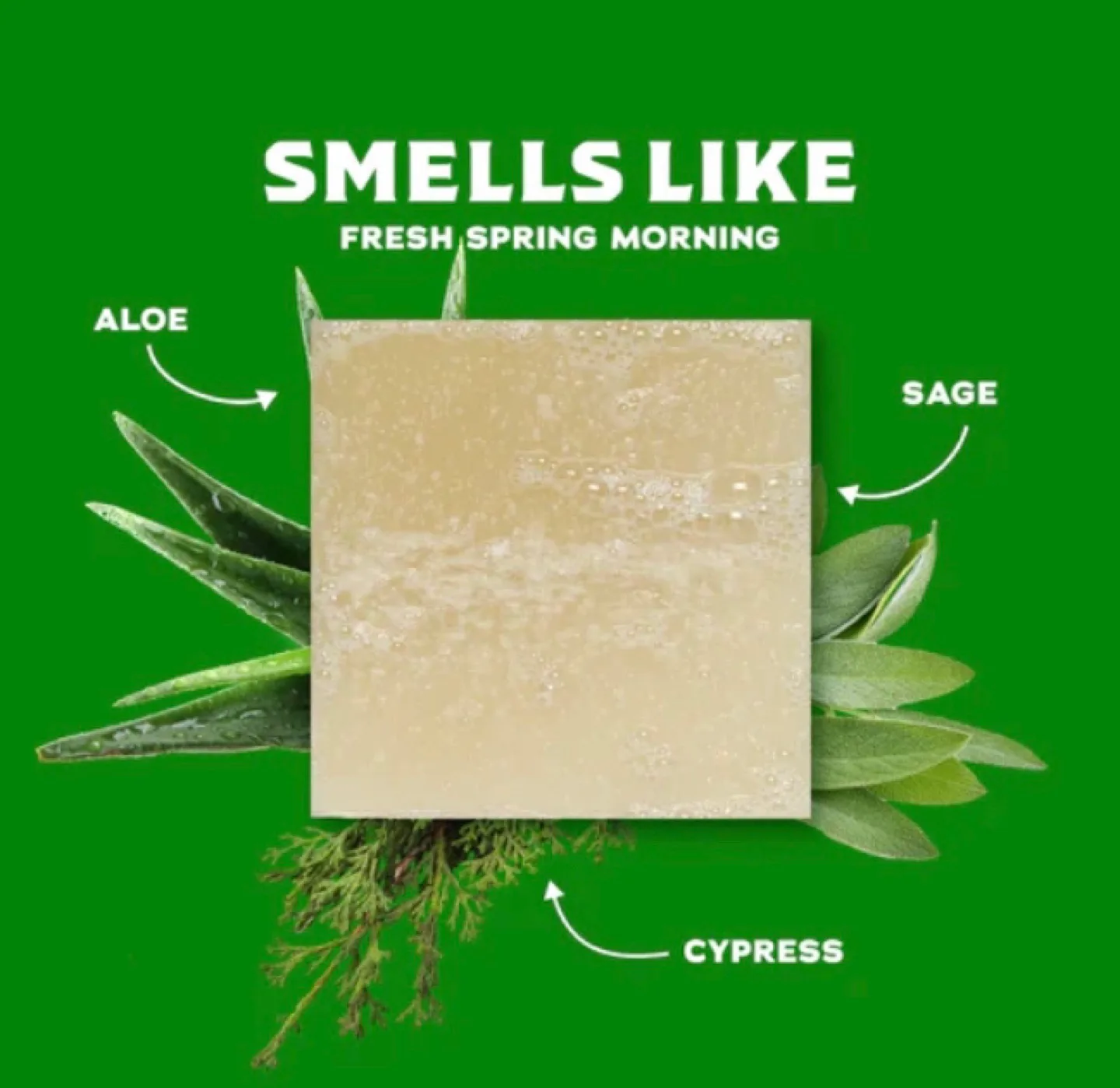 Dr Squatch Natural Soap: Cool Fresh Aloe image indicator(2)