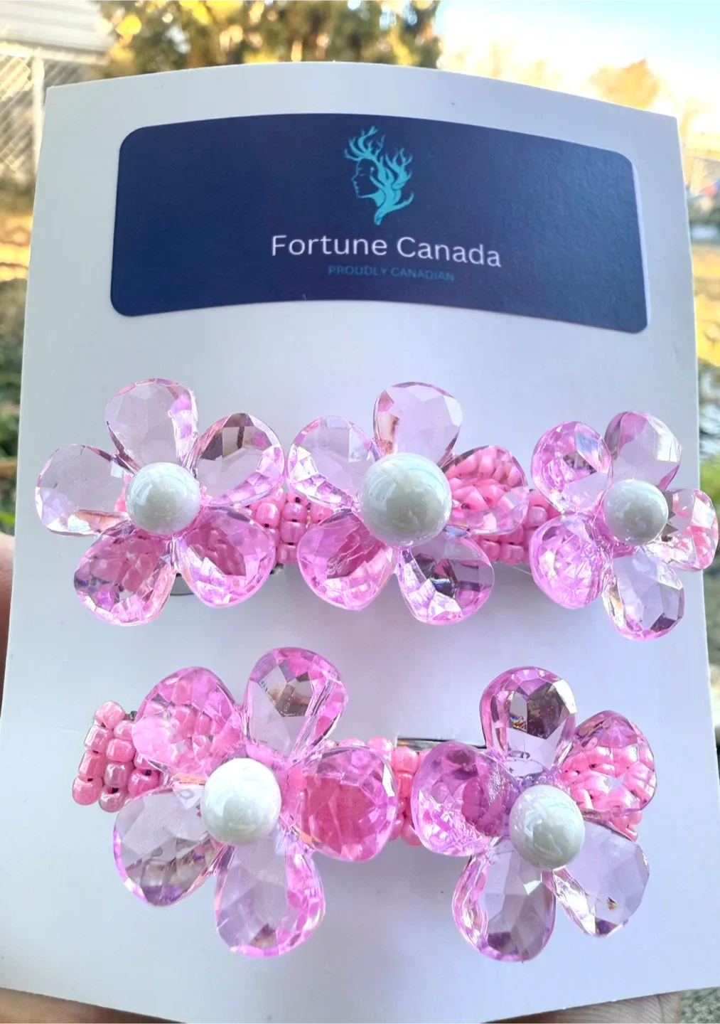 Hair Clips - Set of 2