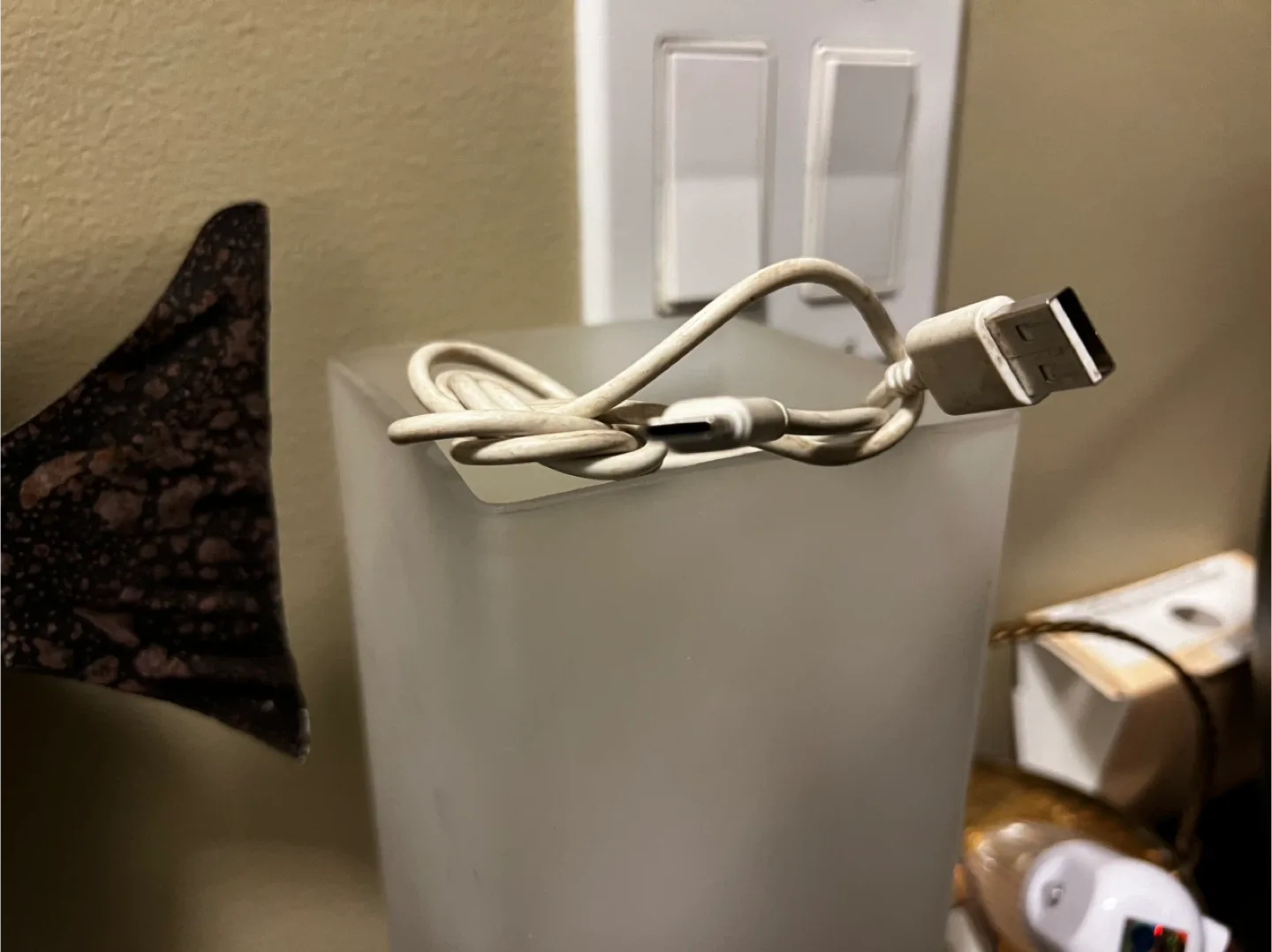 USB-C Charging Cable image indicator(2)