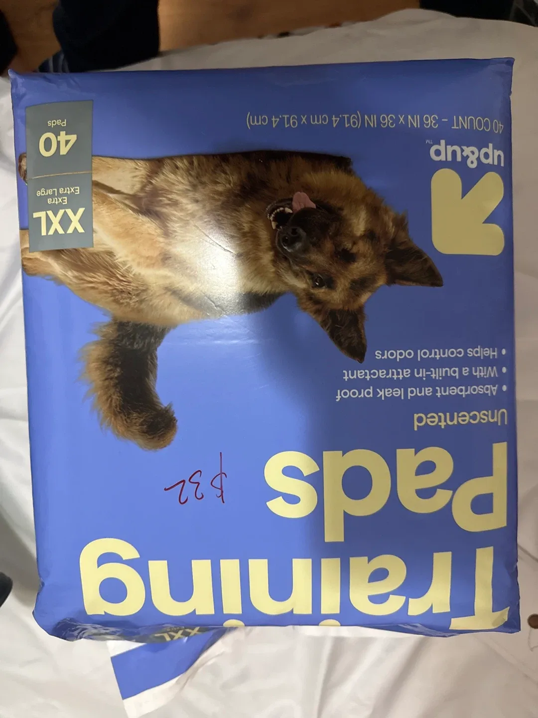 Up & Up Training Pads - XXL