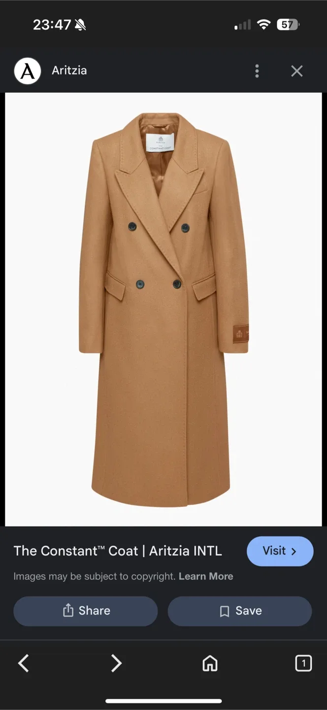 Aritzia The Constant Coat - Size L