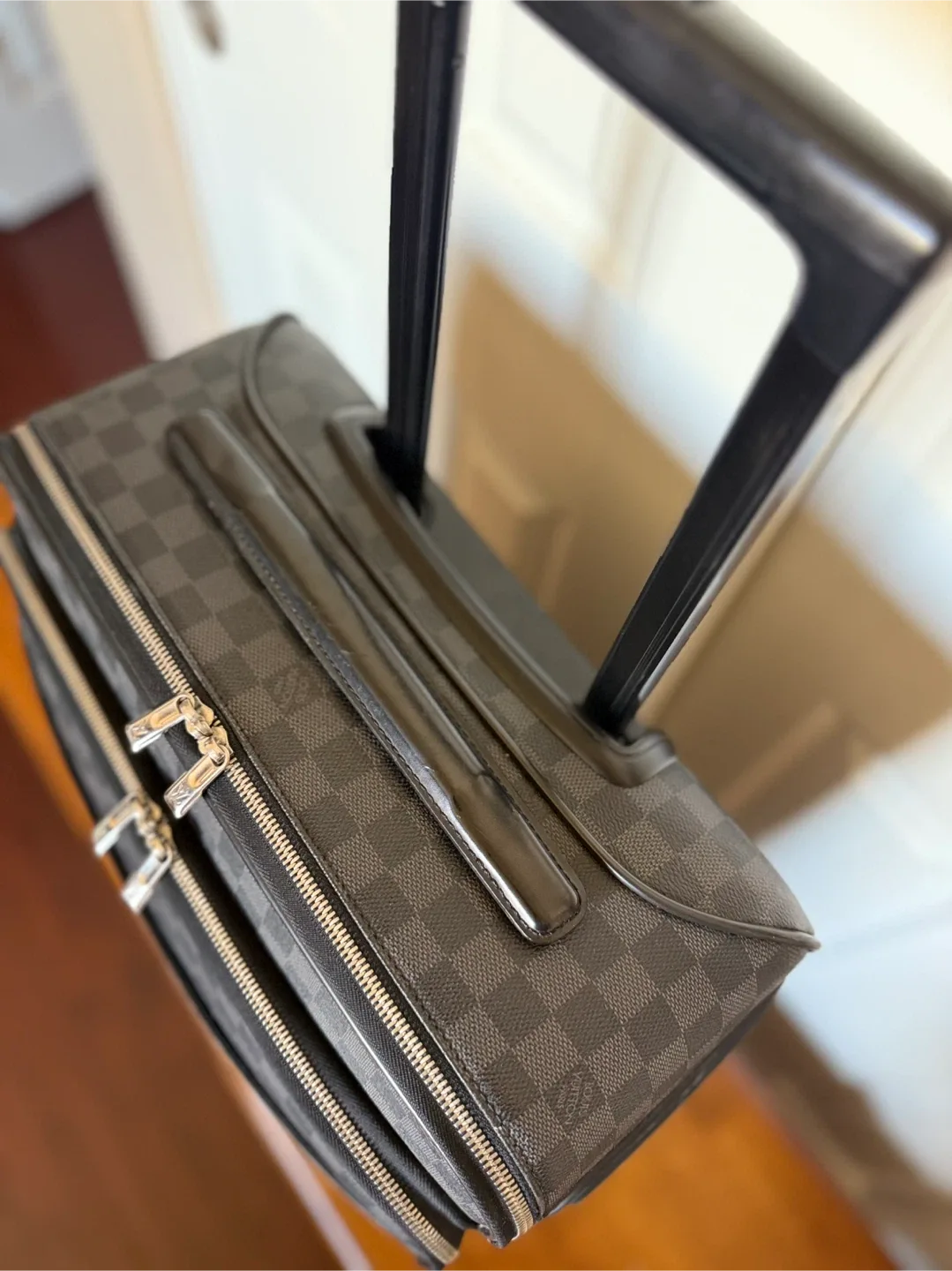 Louis Vuitton Damier Graphite Pegasus 55 Business image indicator(5)