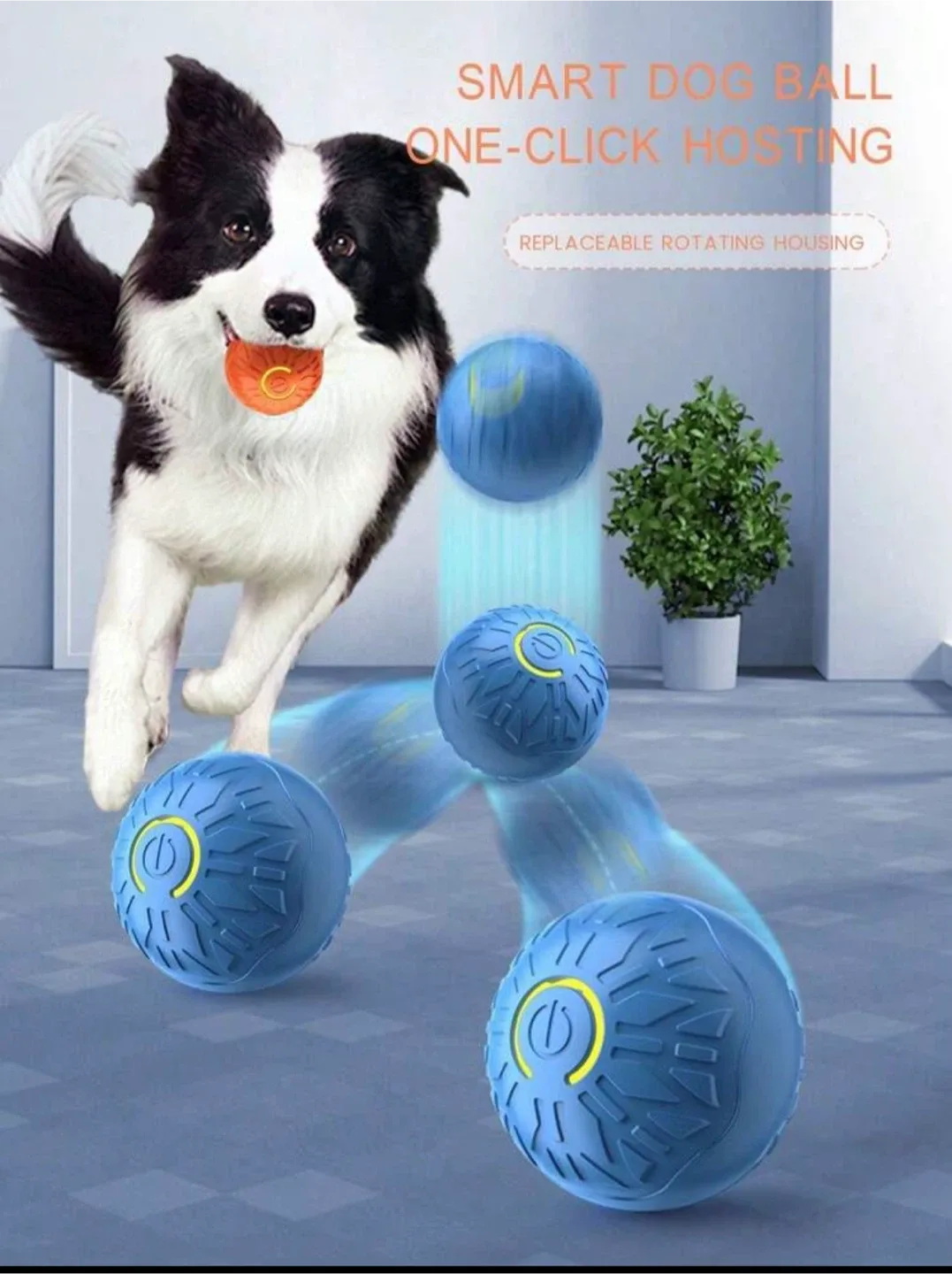 New Smart Dog Rolling Ball - Interactive Pet Toy