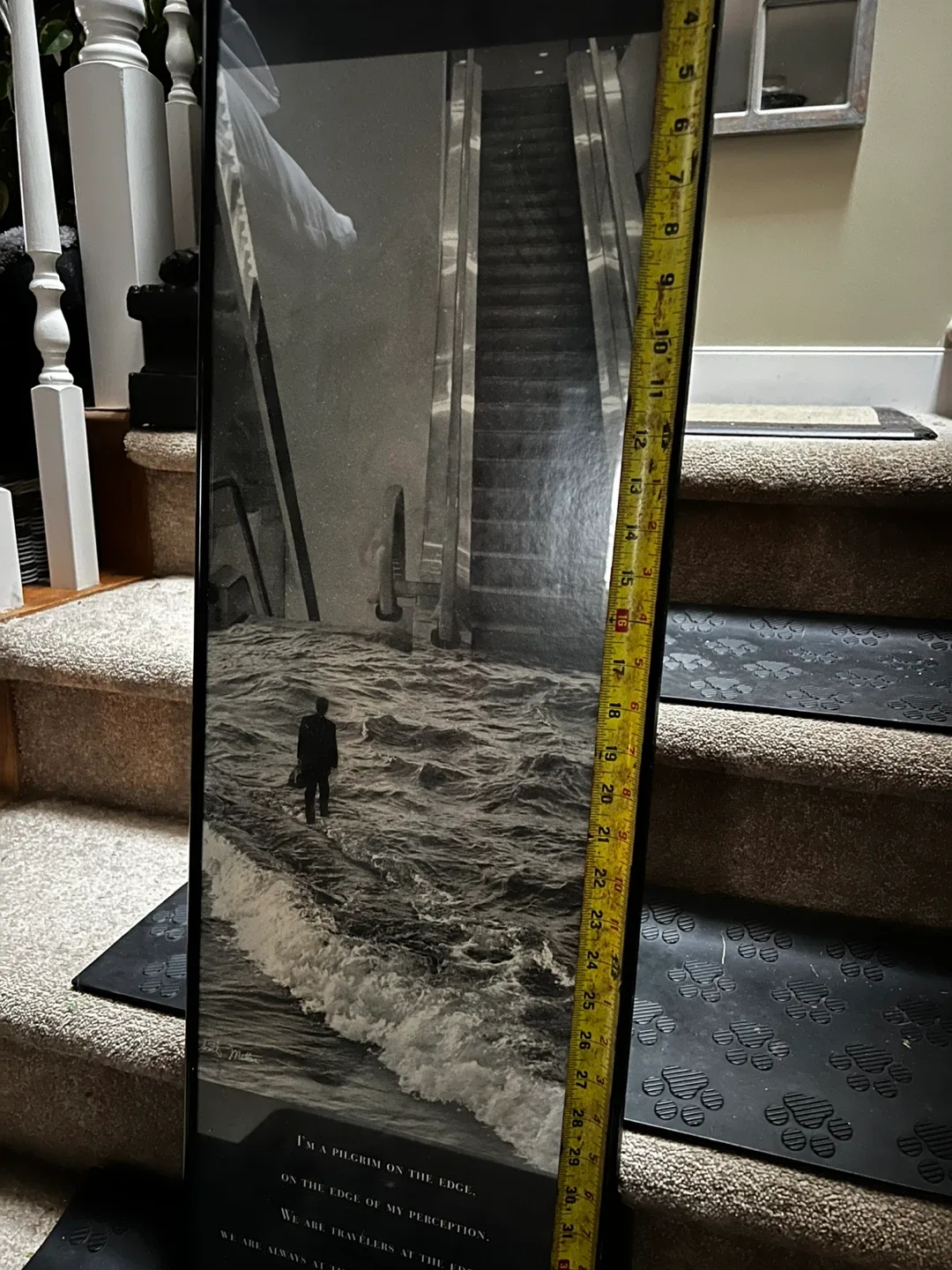 Scott Mutter Framed Print - 30 x 13 inches