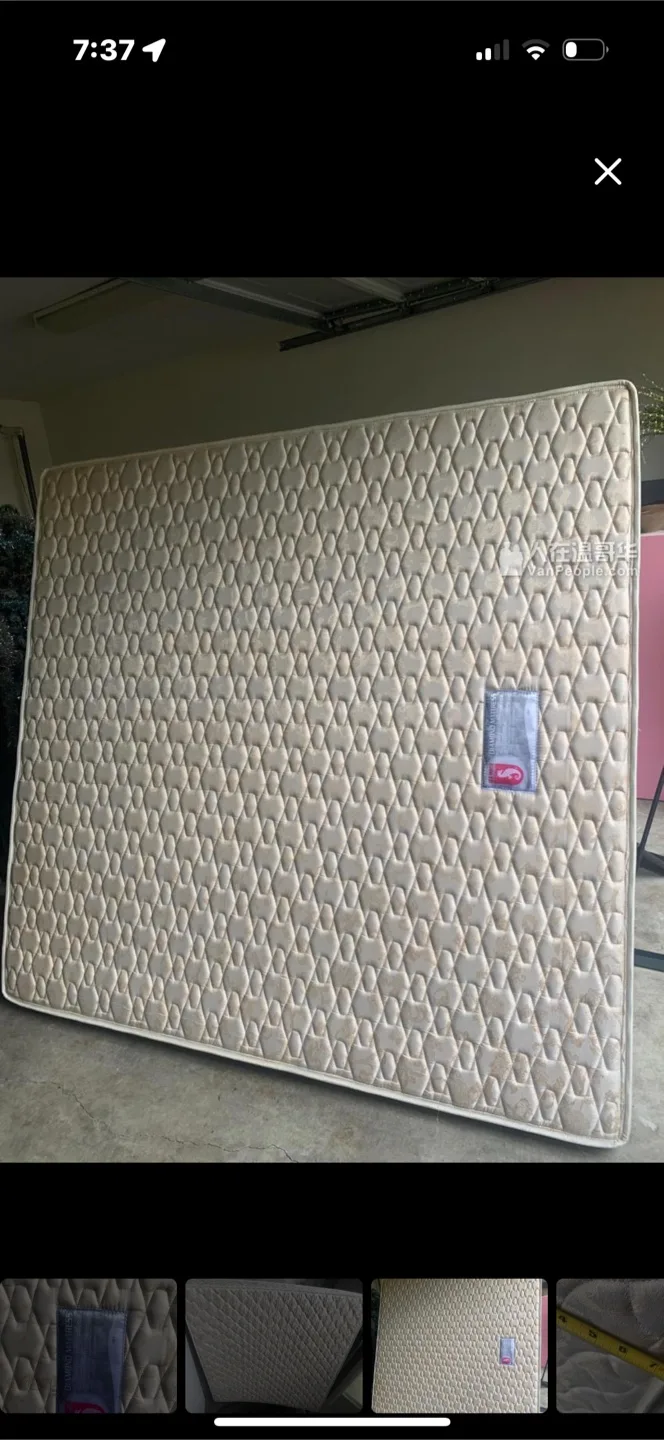 Sea Horse Diamond Mattress king size image indicator(3)