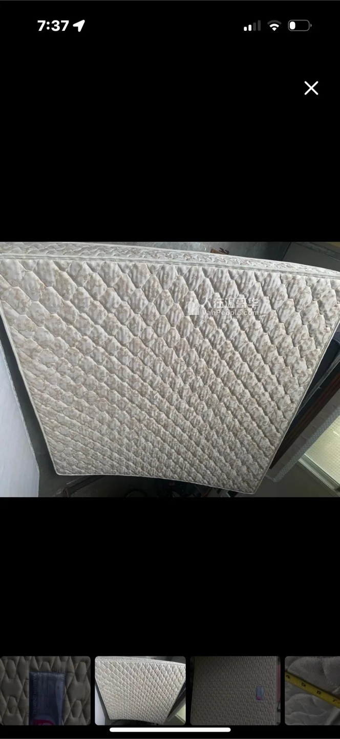 Sea Horse Diamond Mattress king size image indicator(2)