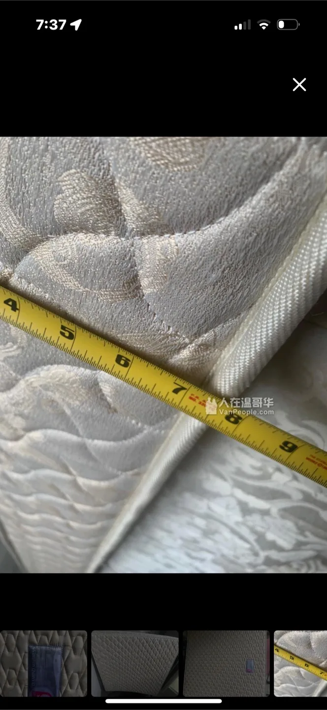 Sea Horse Diamond Mattress king size image indicator(4)