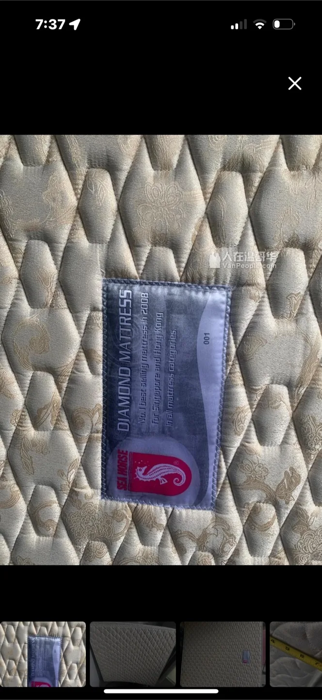 Sea Horse Diamond Mattress king size