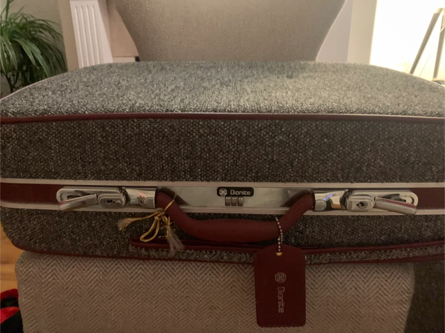 Dionite Vintage Suitcase Set