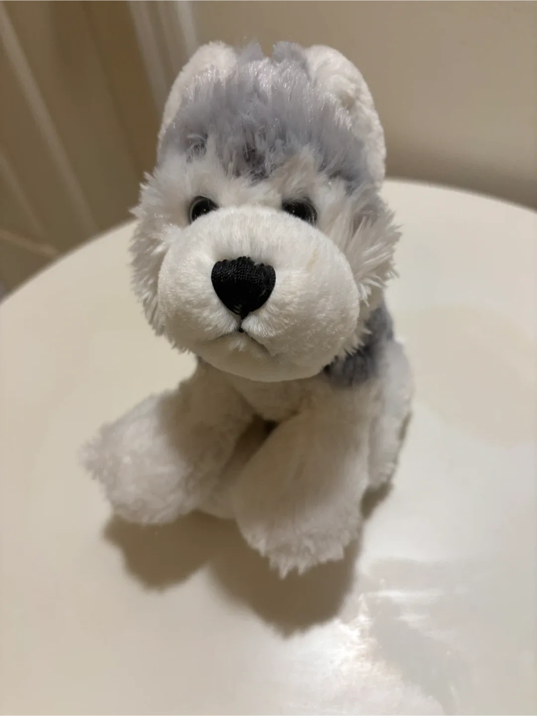 🐺 💙 GANZ Grey & White Plush Husky - 11” Long 🧸 image indicator(8)