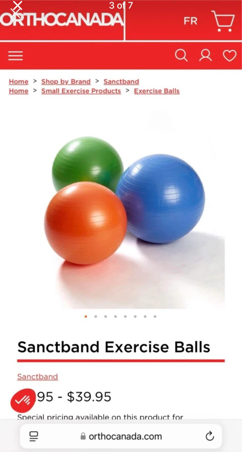 Gym/ Exercise Ball with Pump - Brand New - photo 2