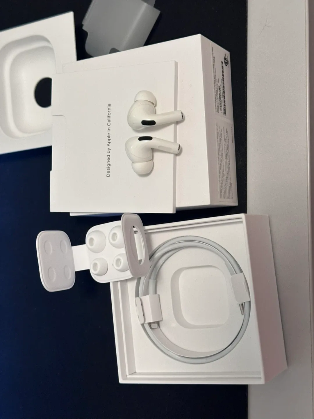 Apple AirPods Pro Buds Only