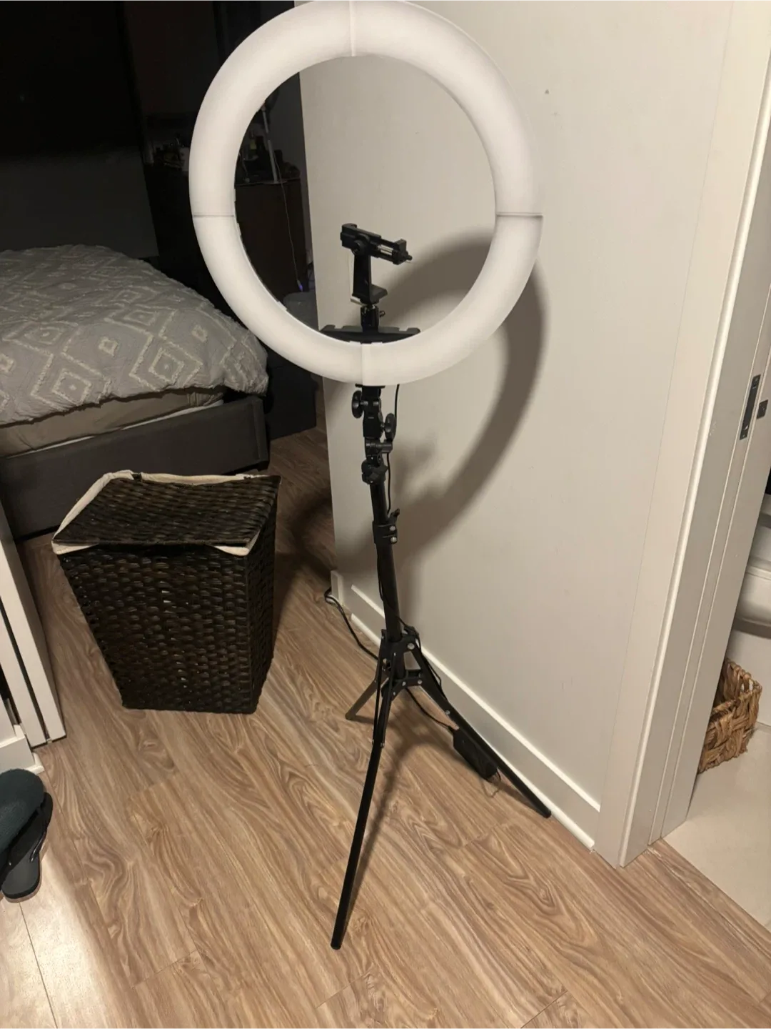 LED Ring Light with Tripod Stand