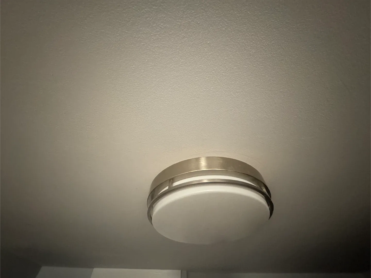 Ceiling Light Fixture