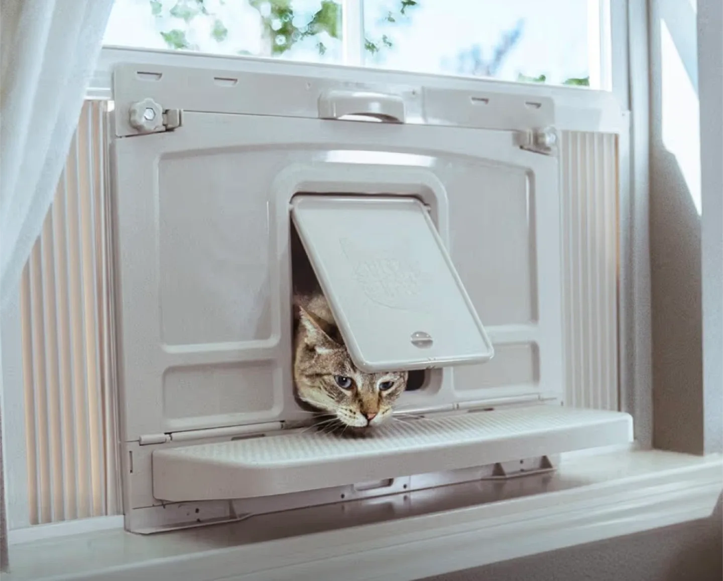 Window Waist Level Litter Box & Retreat image indicator(6)