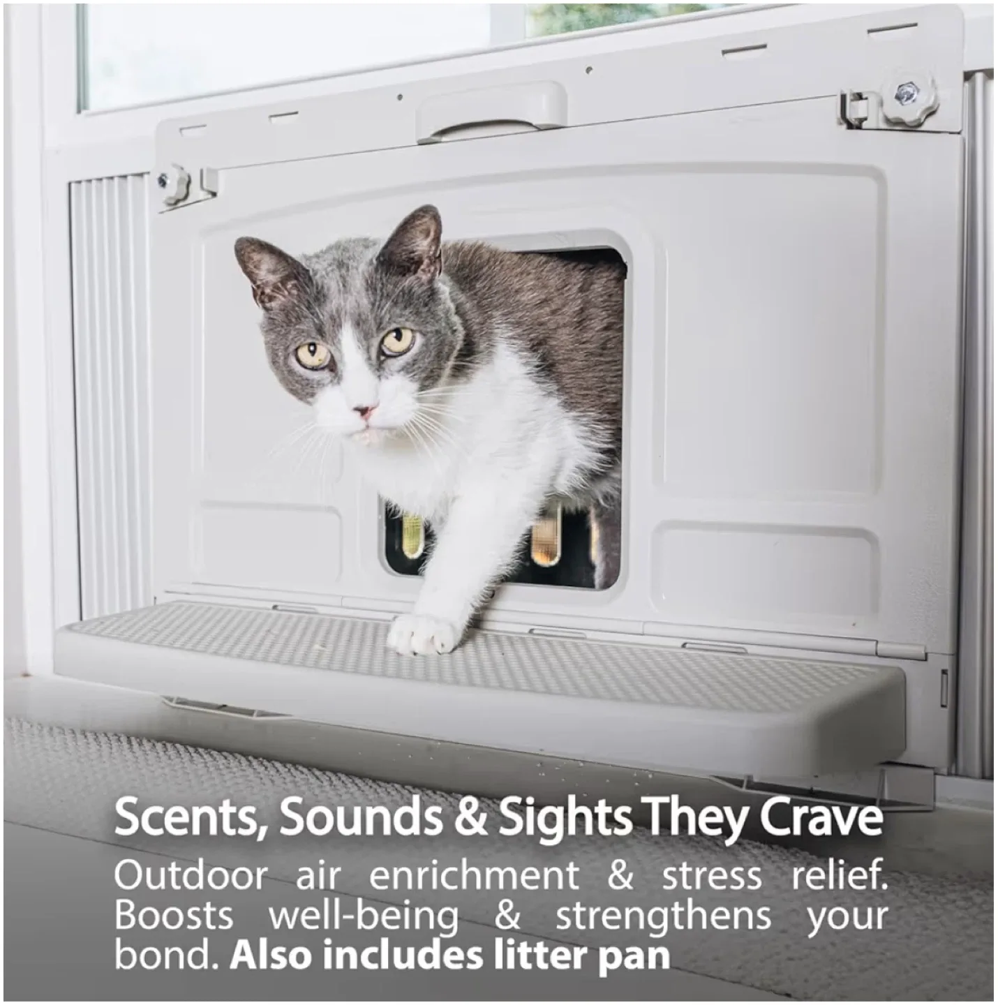 Window Waist Level Litter Box & Retreat image indicator(2)