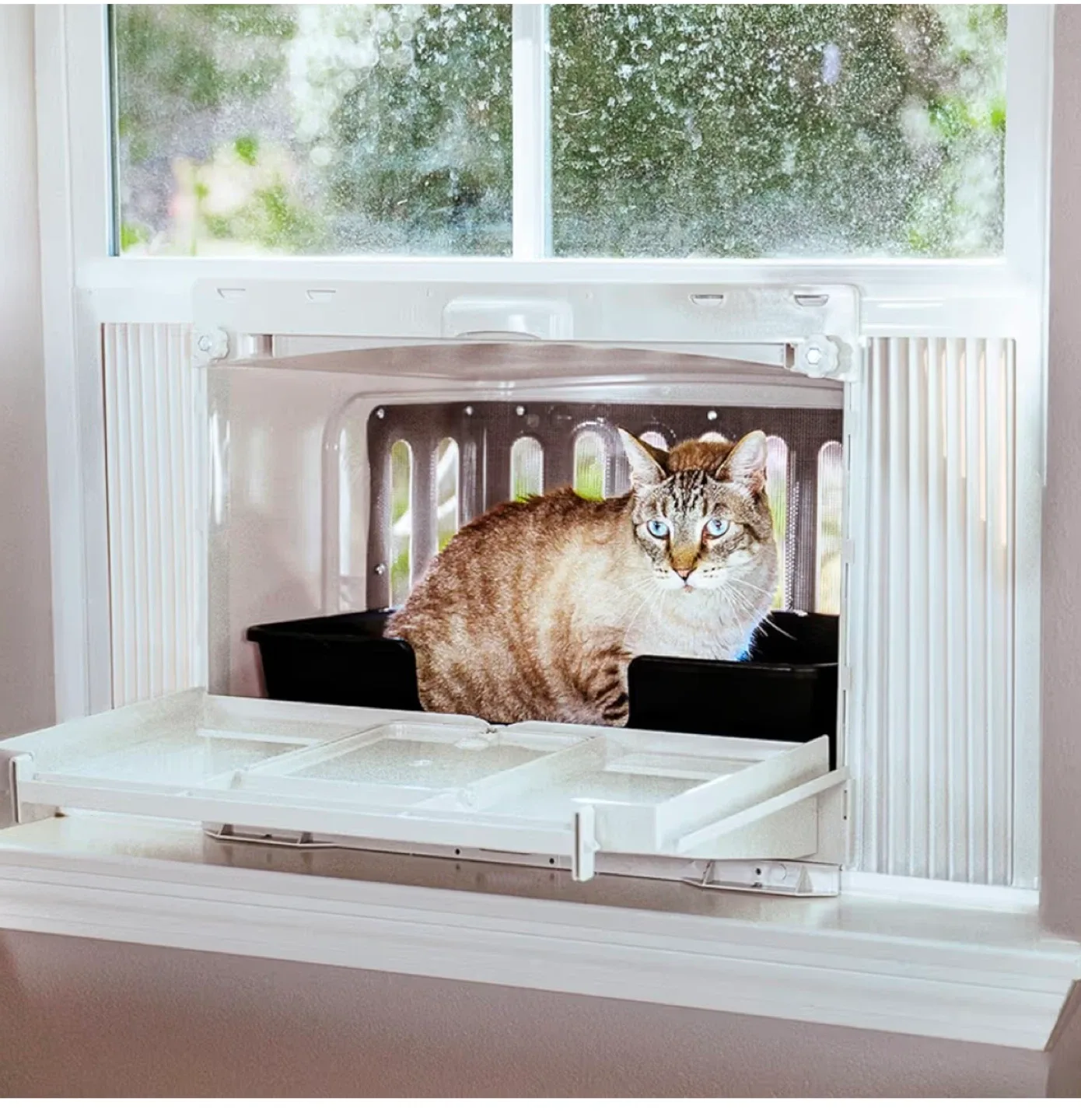 Window Waist Level Litter Box & Retreat