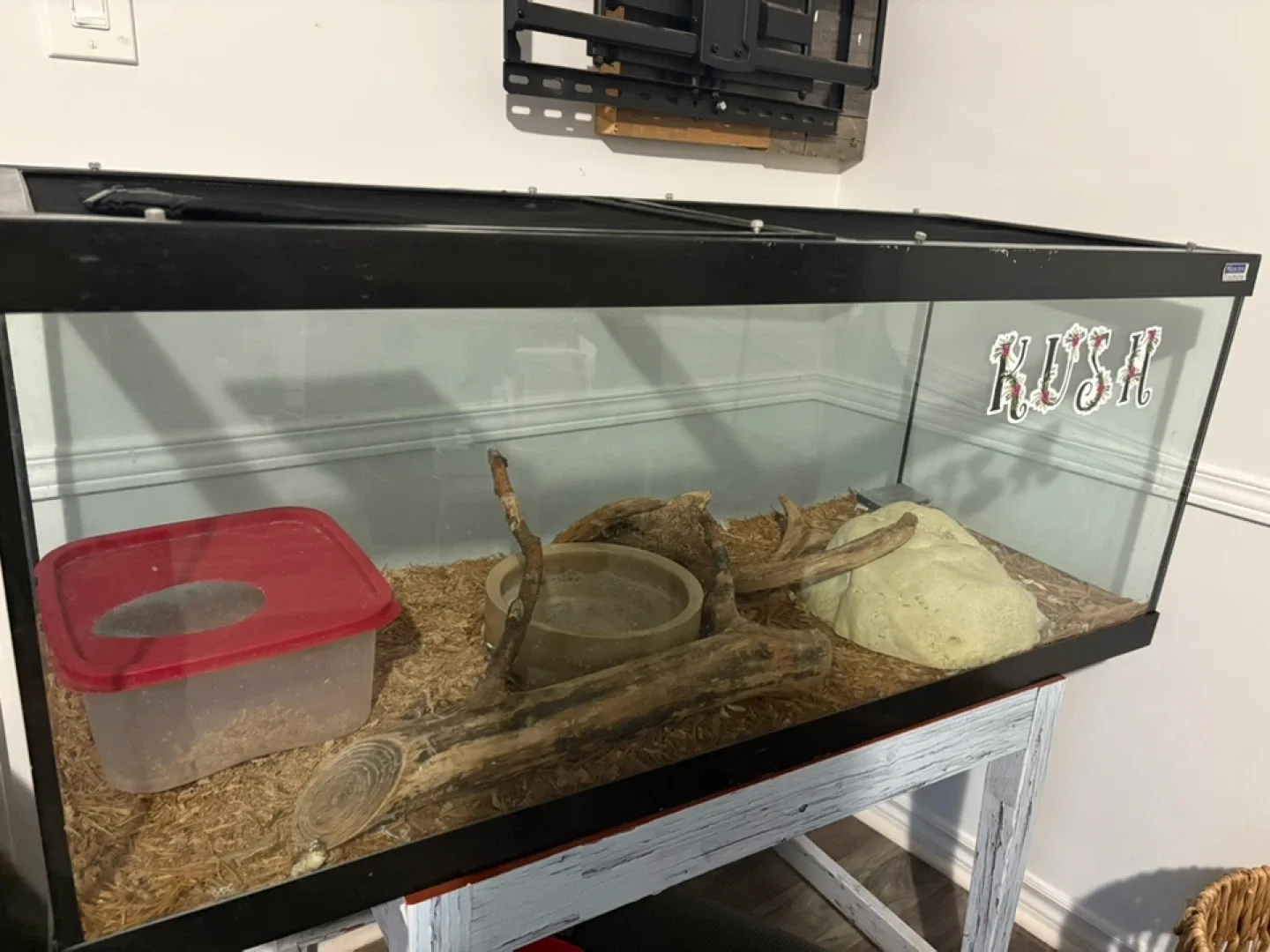Reptile Enclosure with Accessories