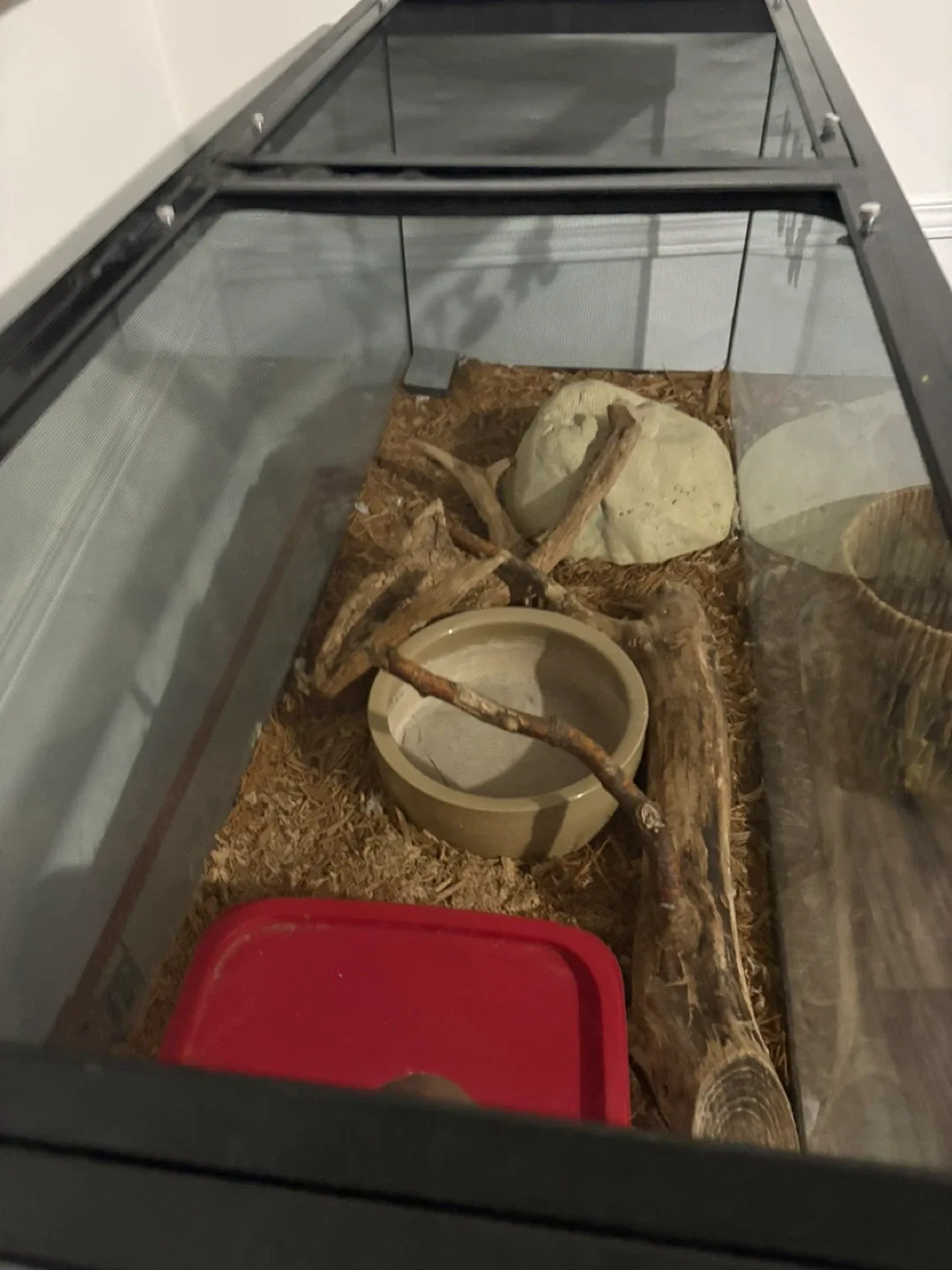 Reptile Enclosure with Accessories image indicator(4)