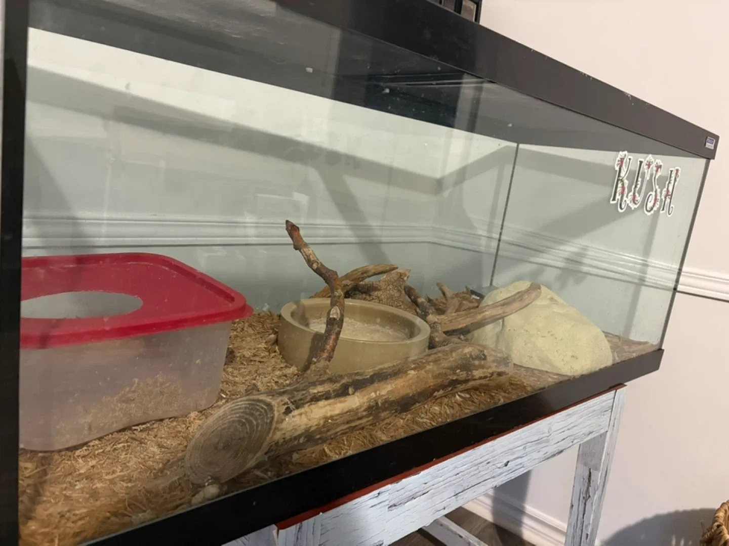 Reptile Enclosure with Accessories image indicator(3)