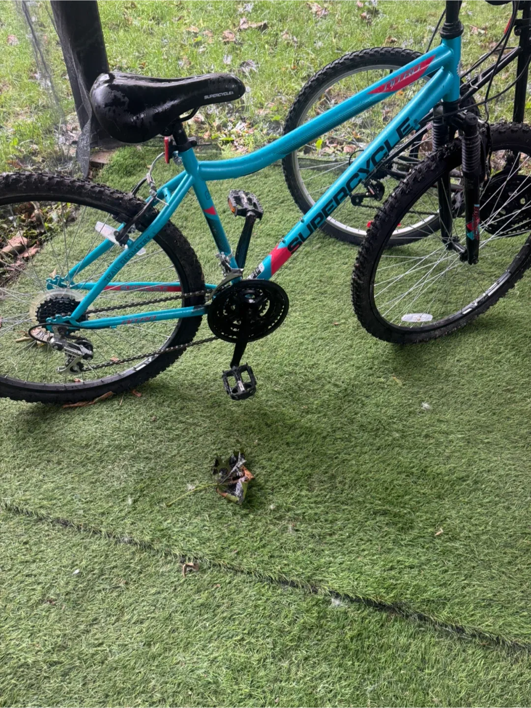 Mount bike for sale image indicator(4)