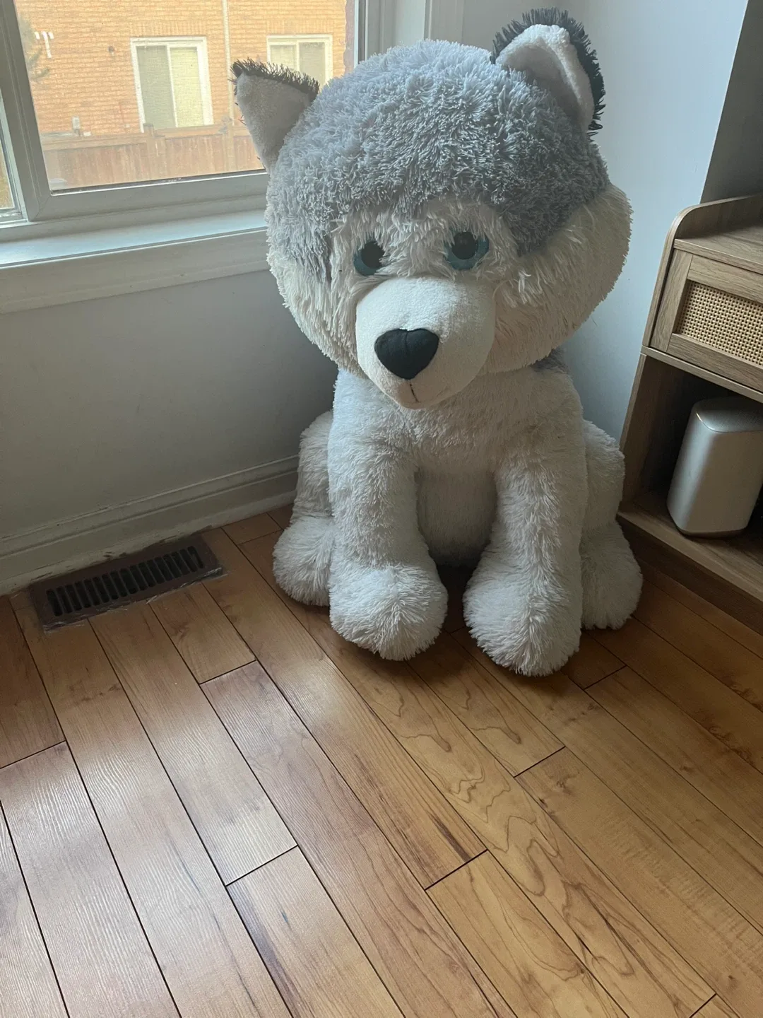 Large Husky Plush Toy