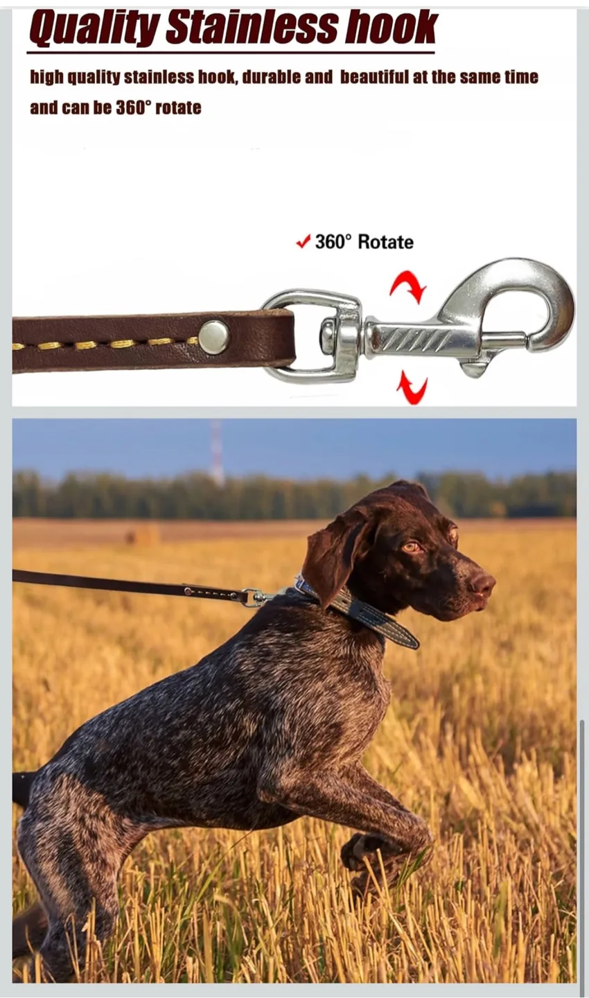 LWBG Leather Dog Leash - 6ft Brown image indicator(5)