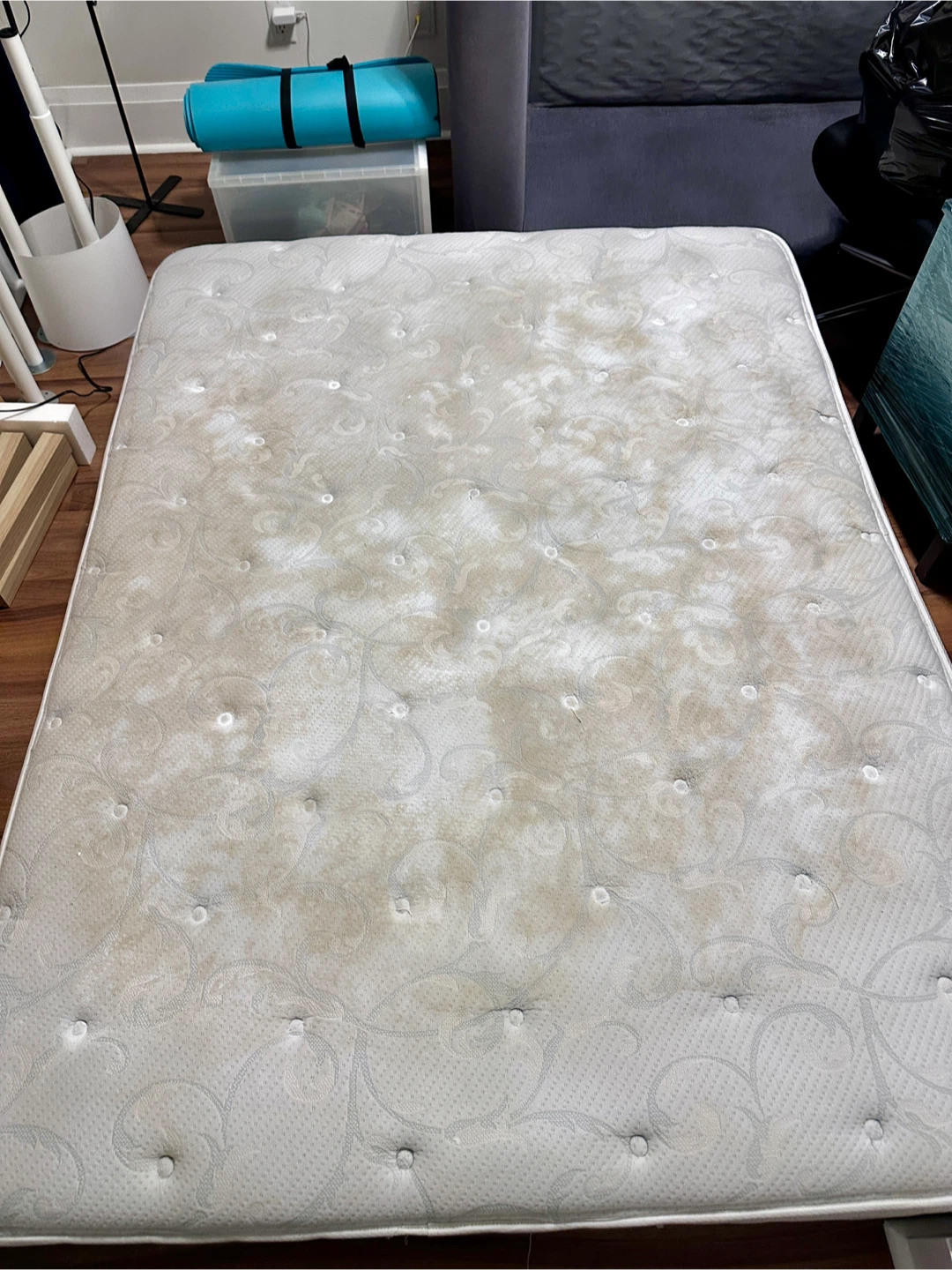 Sealy Used Queen size Mattress, bleached and cleaned