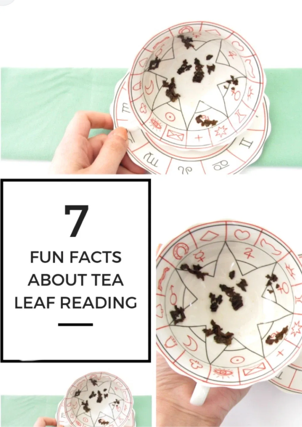 Medium Tea Leaf Readings !
