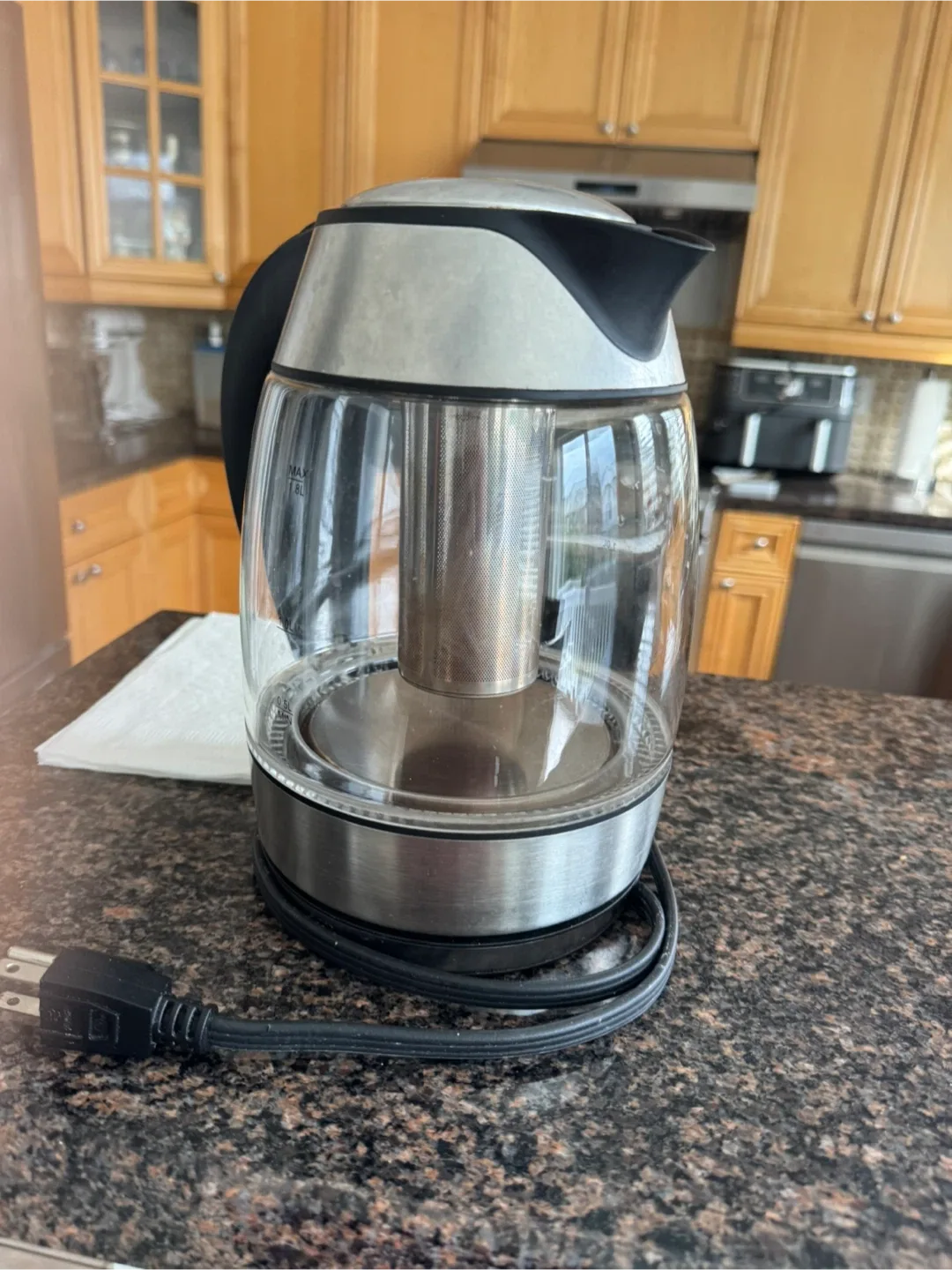 Electric Kettle with Tea Infuser